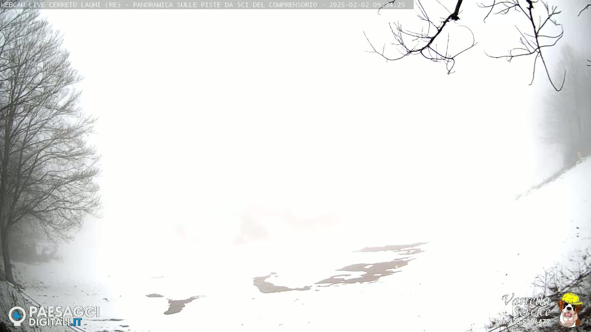 A snow-covered landscape is shrouded in thick fog, with bare tree branches visible in the foreground.