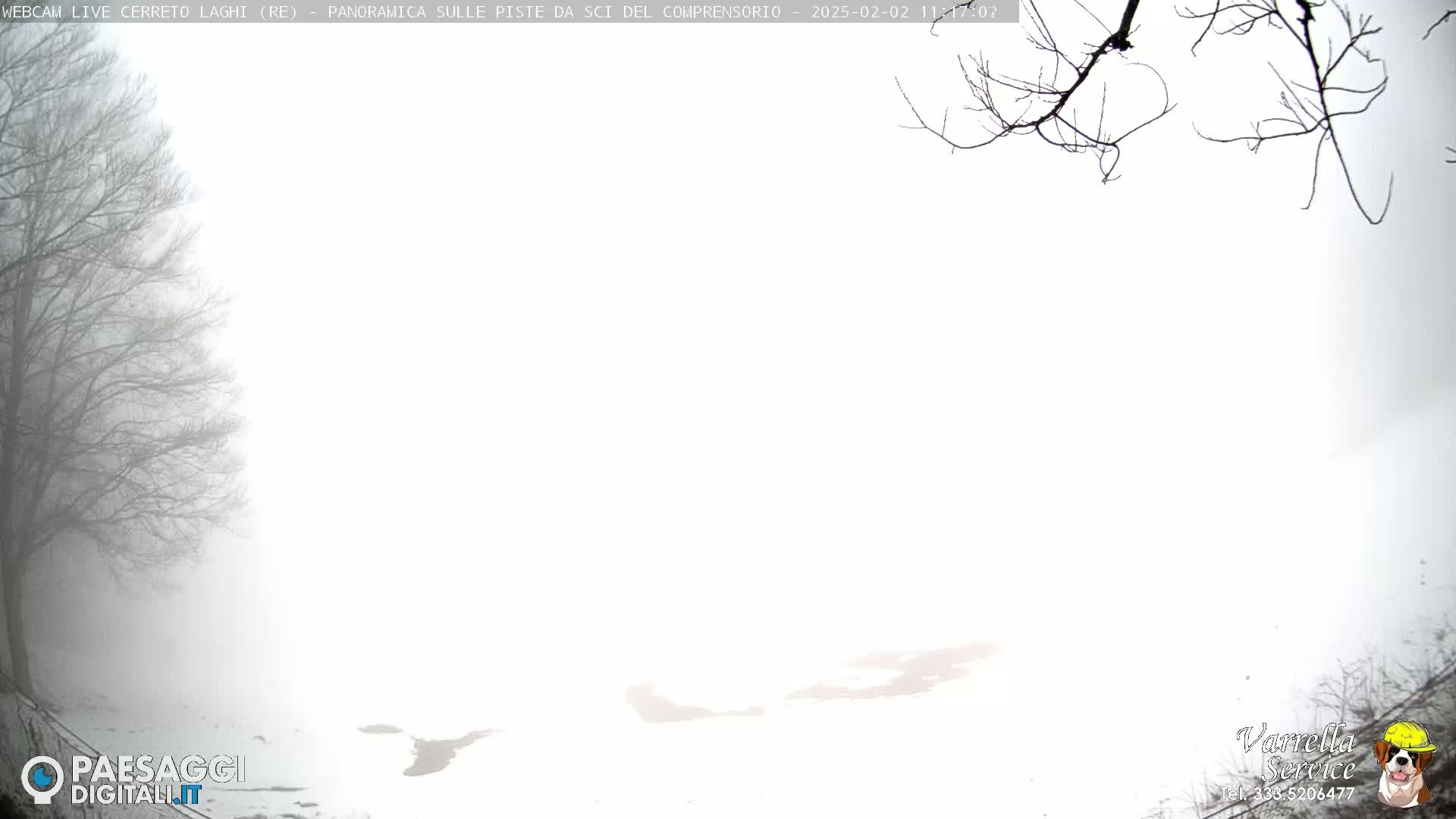 A snow-covered landscape is shrouded in dense fog, with bare tree branches visible in the foreground and background.