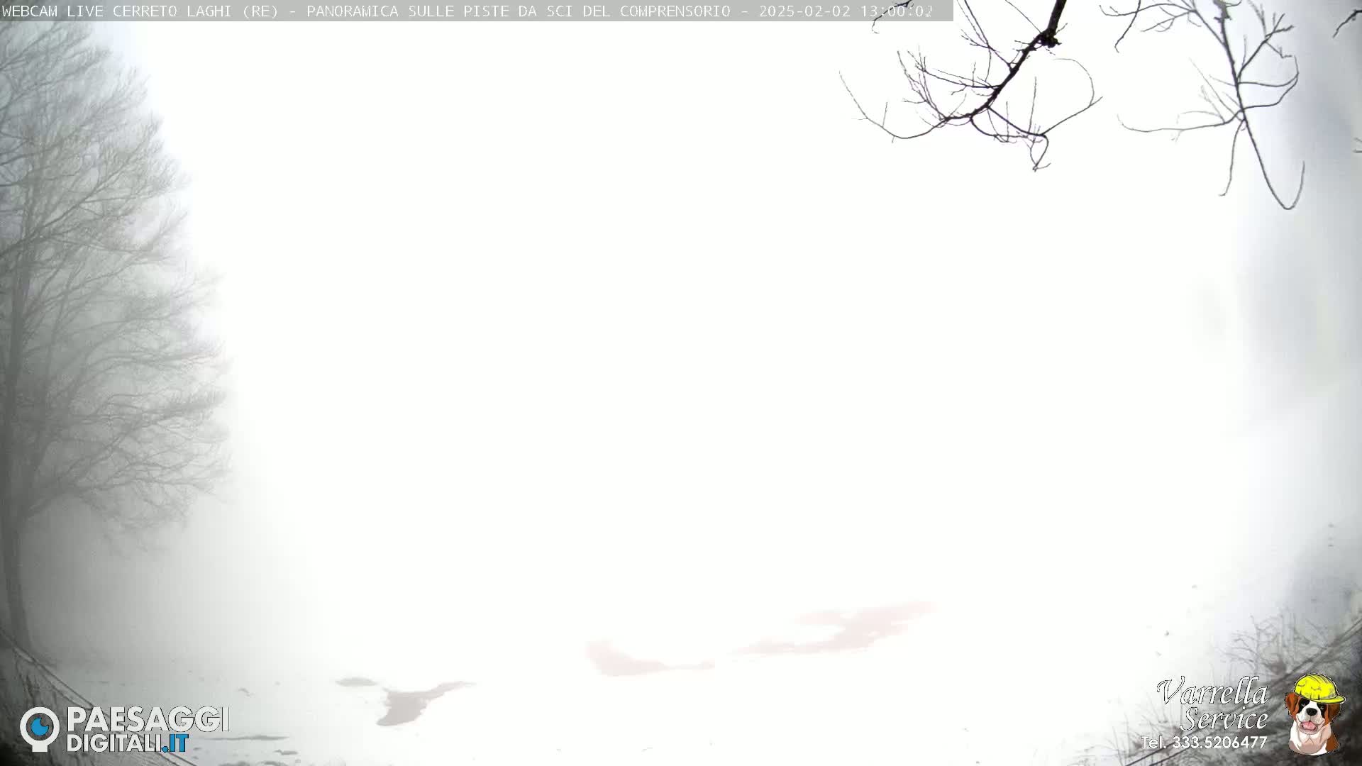 A snow-covered landscape is shrouded in thick fog, with bare tree branches visible in the upper left corner.