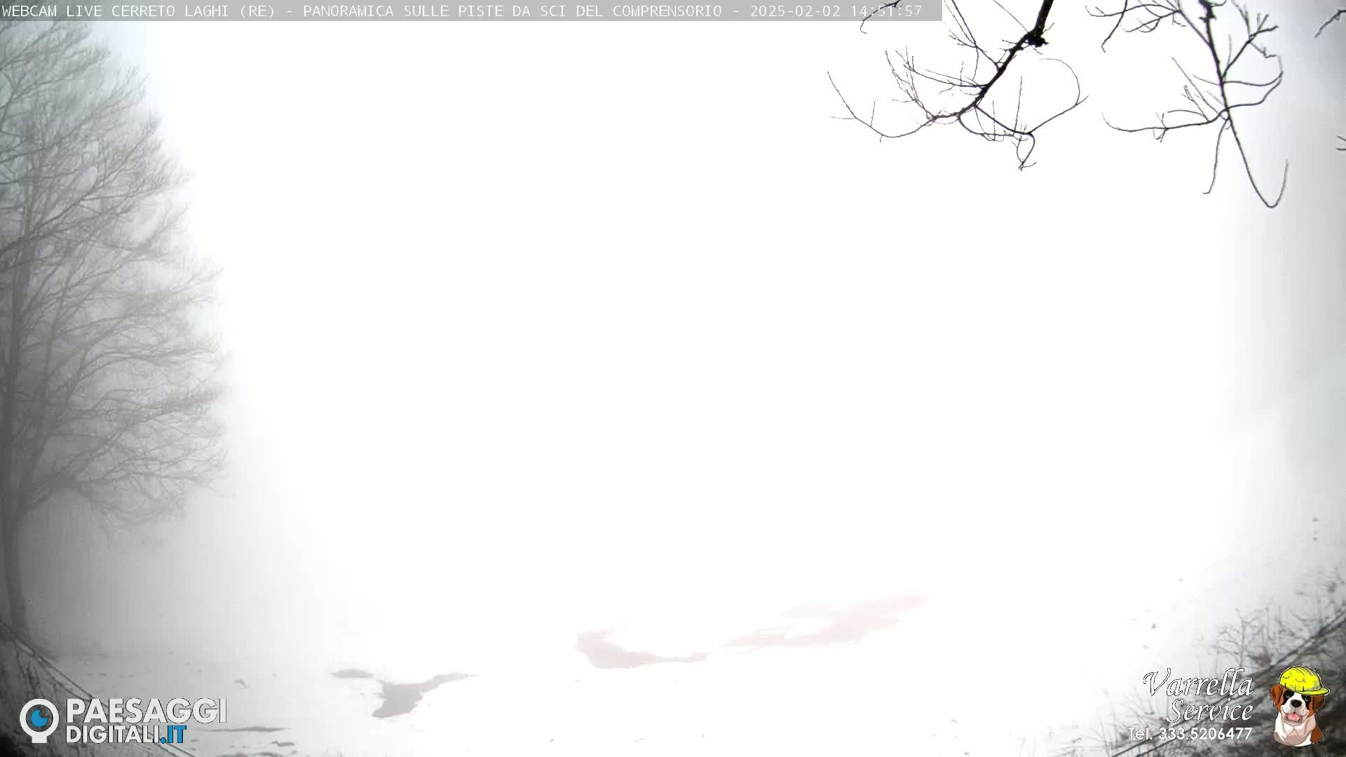 A snow-covered landscape is shrouded in dense fog, with bare tree branches visible in the foreground.