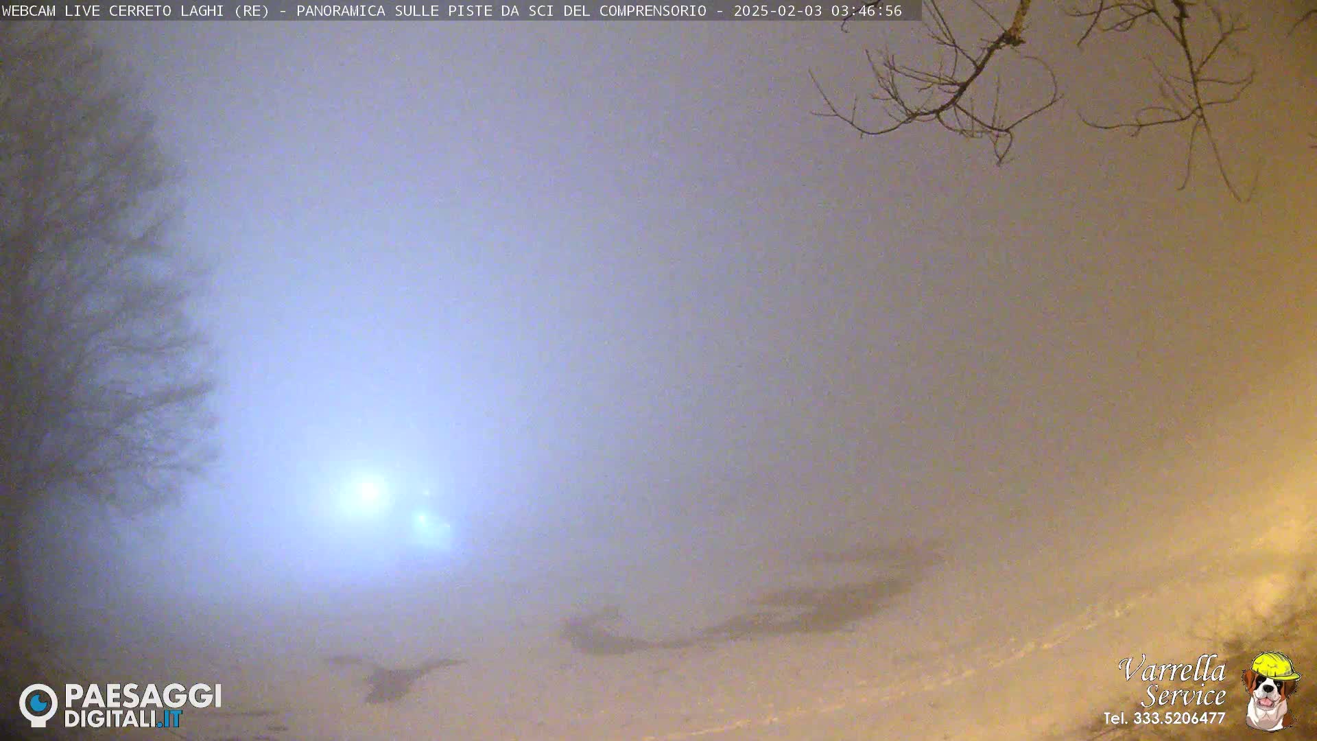 A foggy, dimly lit outdoor scene shows a snow-covered landscape with bare tree branches overhead.