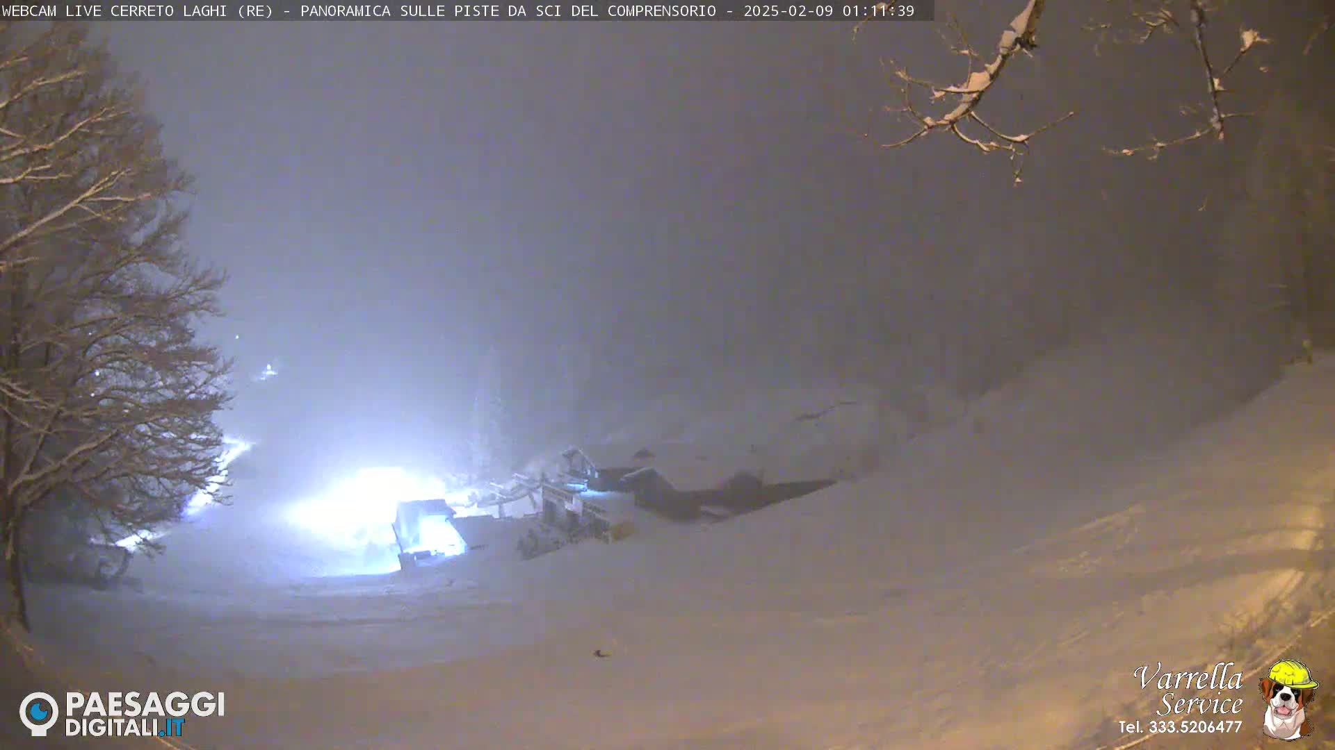 A snow-covered landscape at night, with a building partially visible and a tree in the foreground, under heavy snowfall.