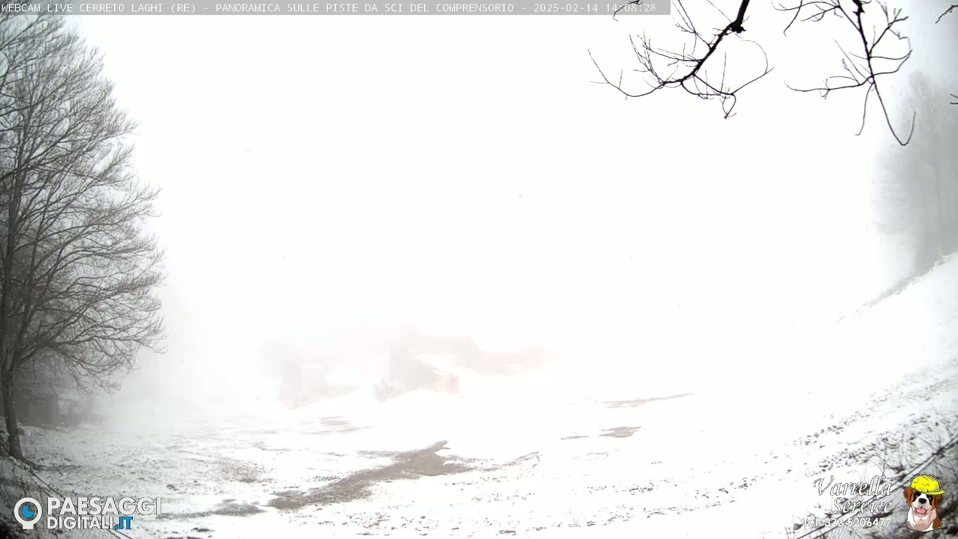 A snow-covered landscape is shrouded in heavy fog, with bare tree branches visible in the foreground.