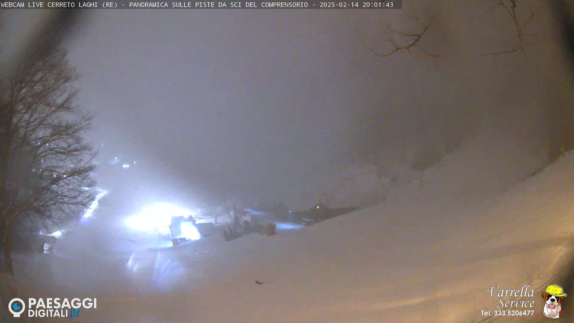 A snow-covered landscape at night is illuminated by bright lights, with bare trees visible in the foreground under heavy snowfall.