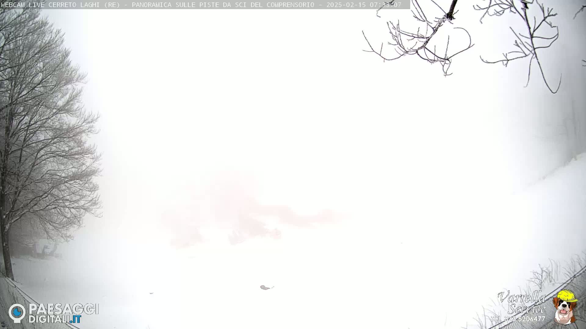 A snow-covered landscape is mostly obscured by heavy snowfall, with bare tree branches visible in the foreground.