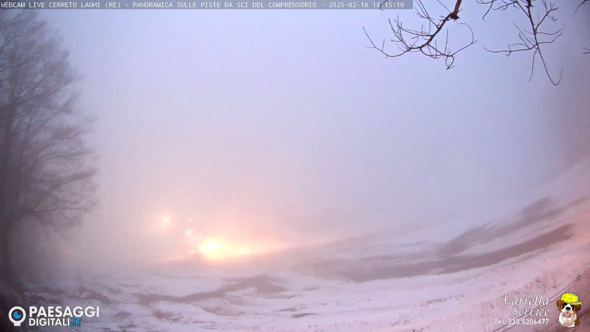 A foggy, snowy landscape is visible, with a few lights in the distance and bare tree branches in the foreground.