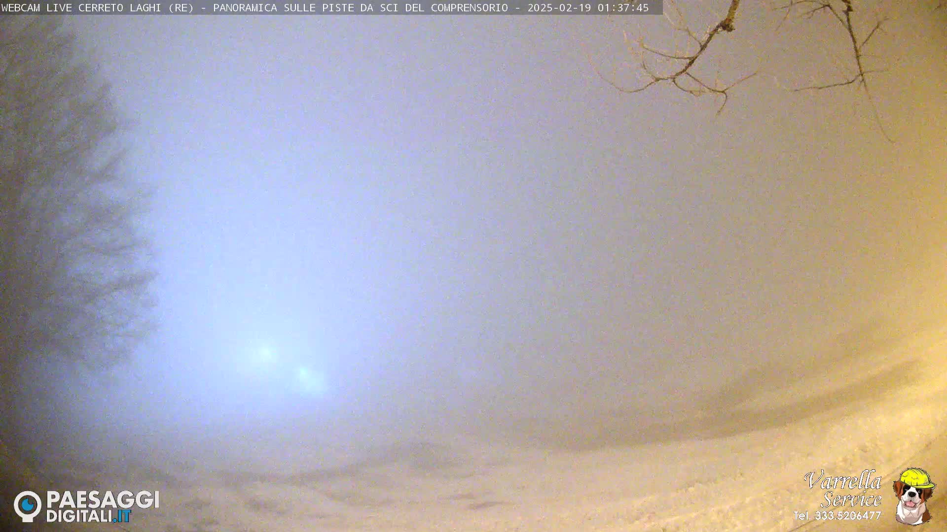 A foggy, snowy landscape is visible, with bare tree branches in the upper right corner.
