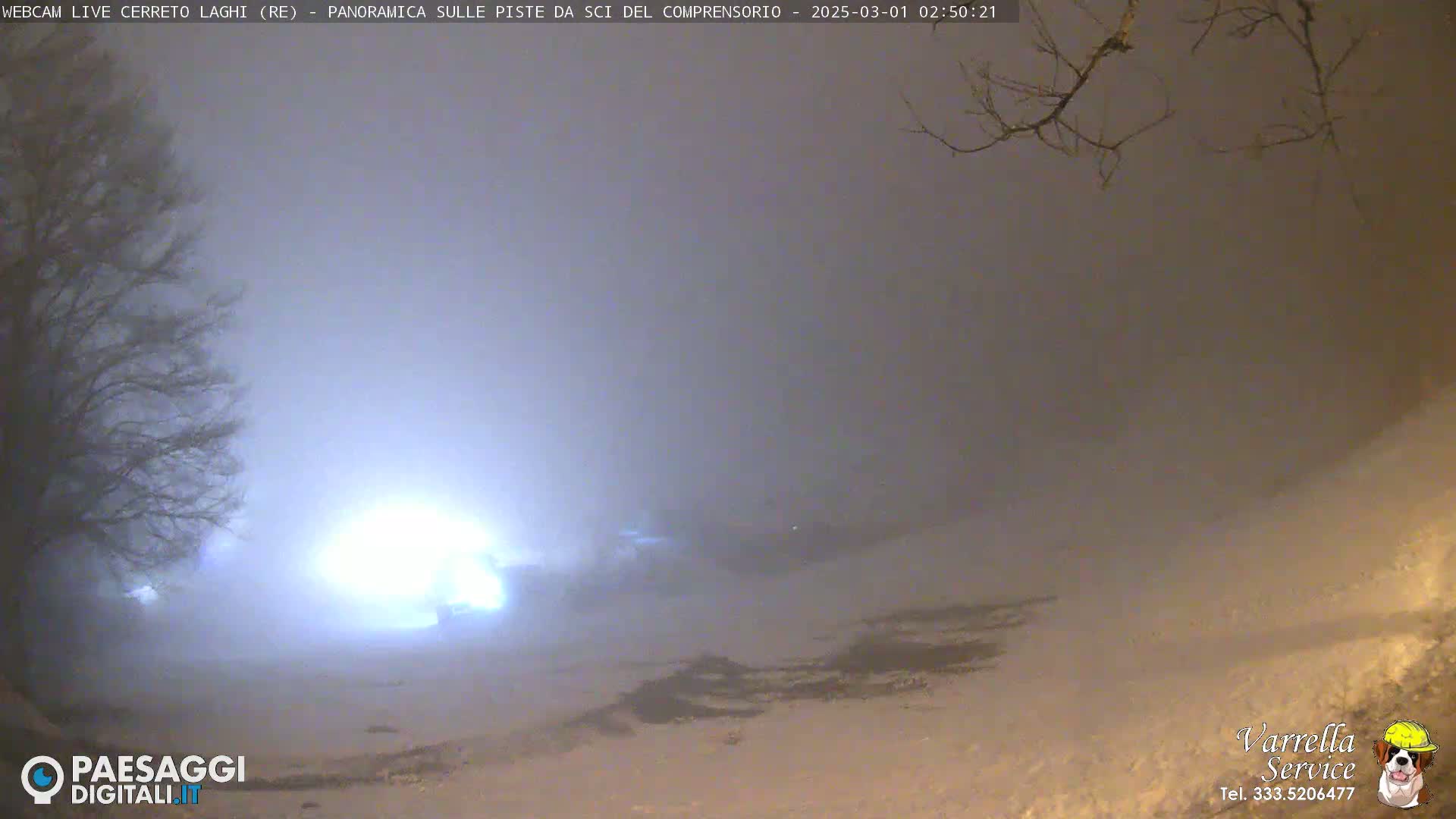 A snow-covered landscape is shrouded in thick fog at night, illuminated by a bright light source in the distance.