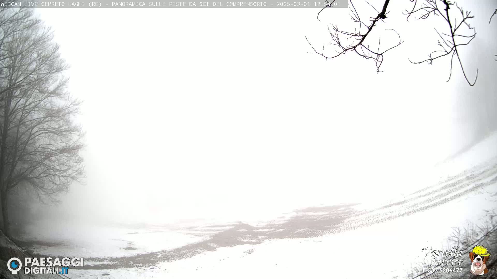 A snow-covered landscape is shrouded in thick fog, with bare tree branches visible in the foreground and left side.
