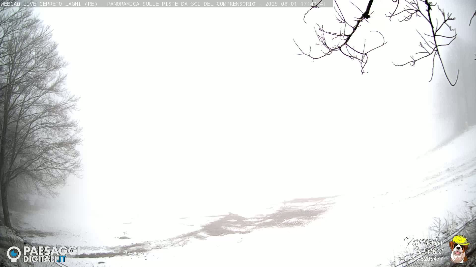 A snow-covered landscape is shrouded in thick fog, with bare tree branches visible in the foreground.