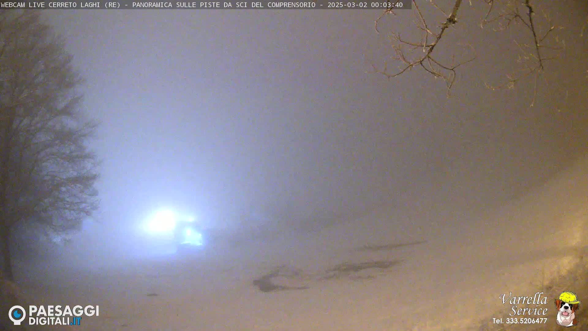 A snow-covered landscape is shrouded in heavy fog at night, illuminated by a distant light source.