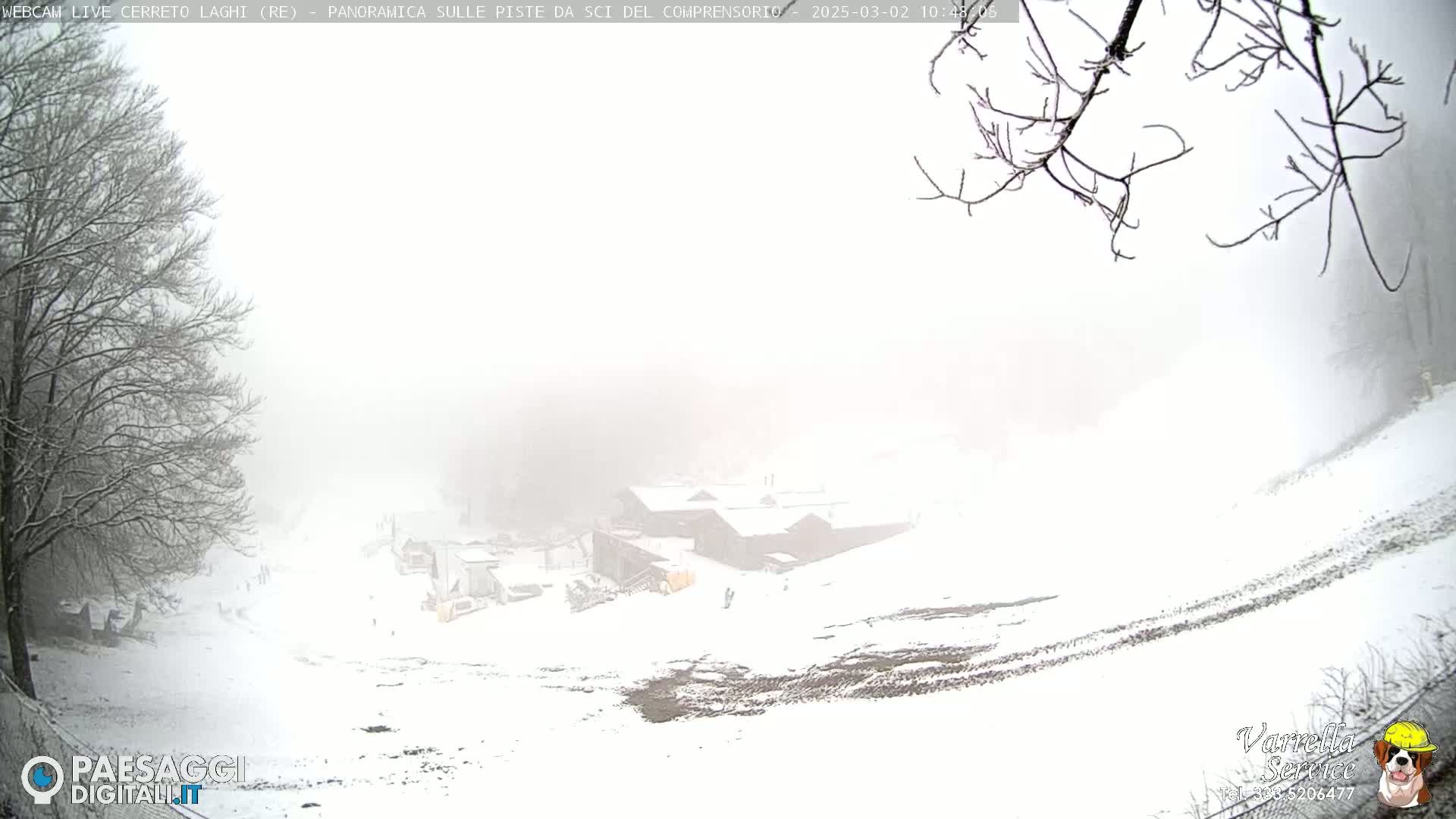 A snow-covered landscape with a building and trees in the distance, under heavy fog.