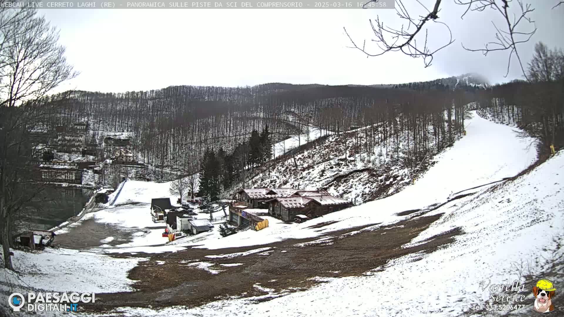A snow-covered ski slope and surrounding wooded area are viewed on an overcast day.