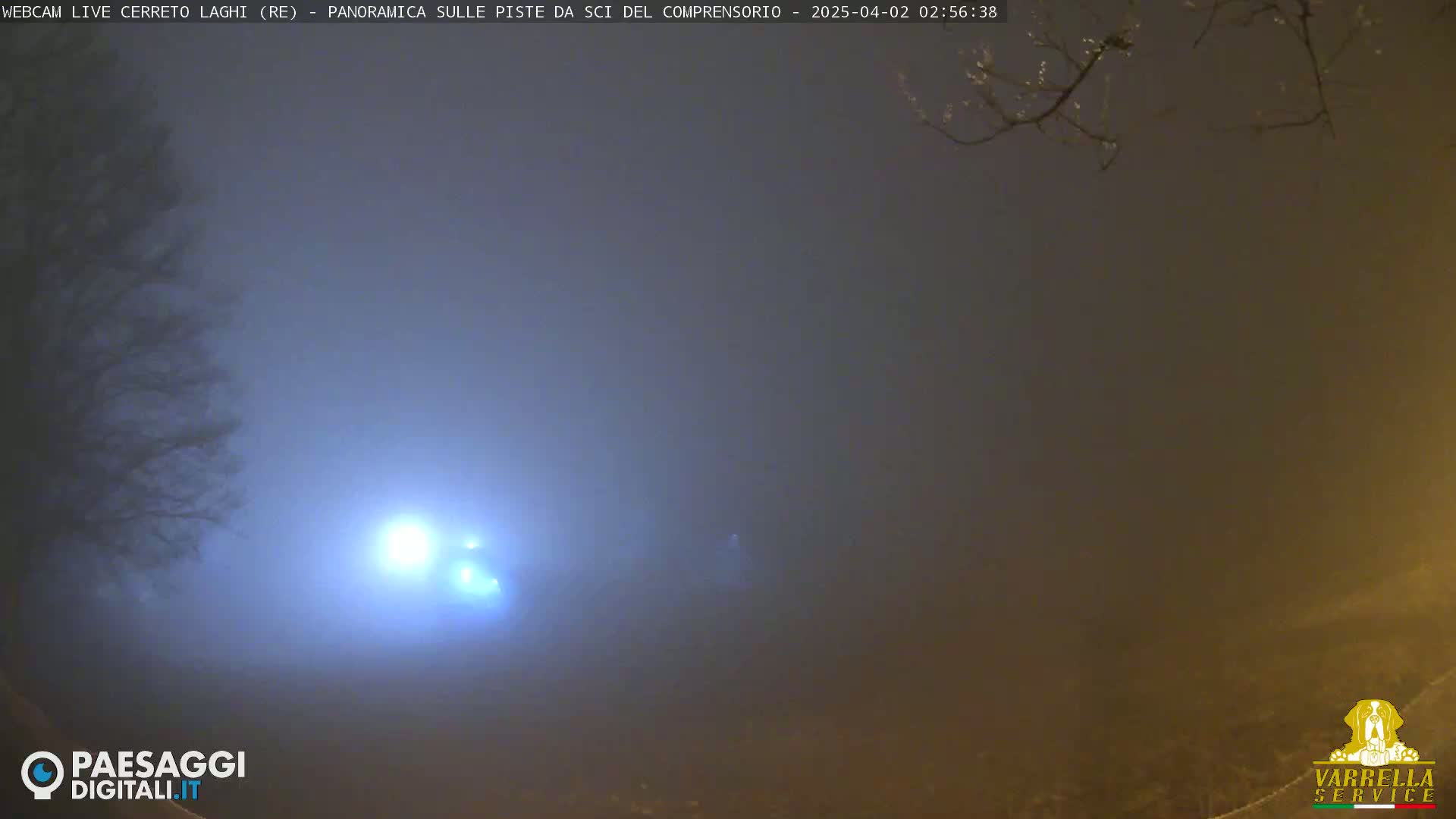 A bright light is visible through a dense fog at night, with bare tree branches in the upper right corner.