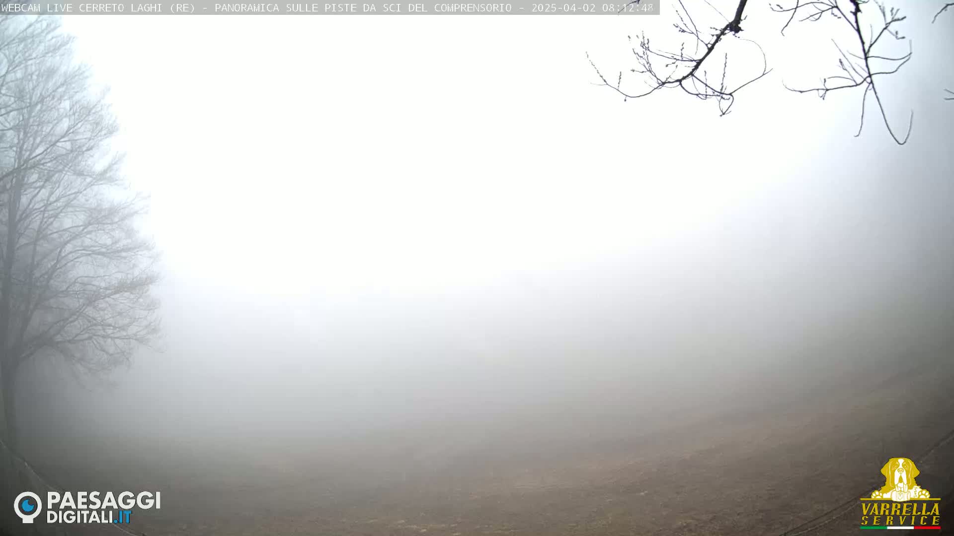 A thick fog obscures a barren landscape with bare trees in the foreground.
