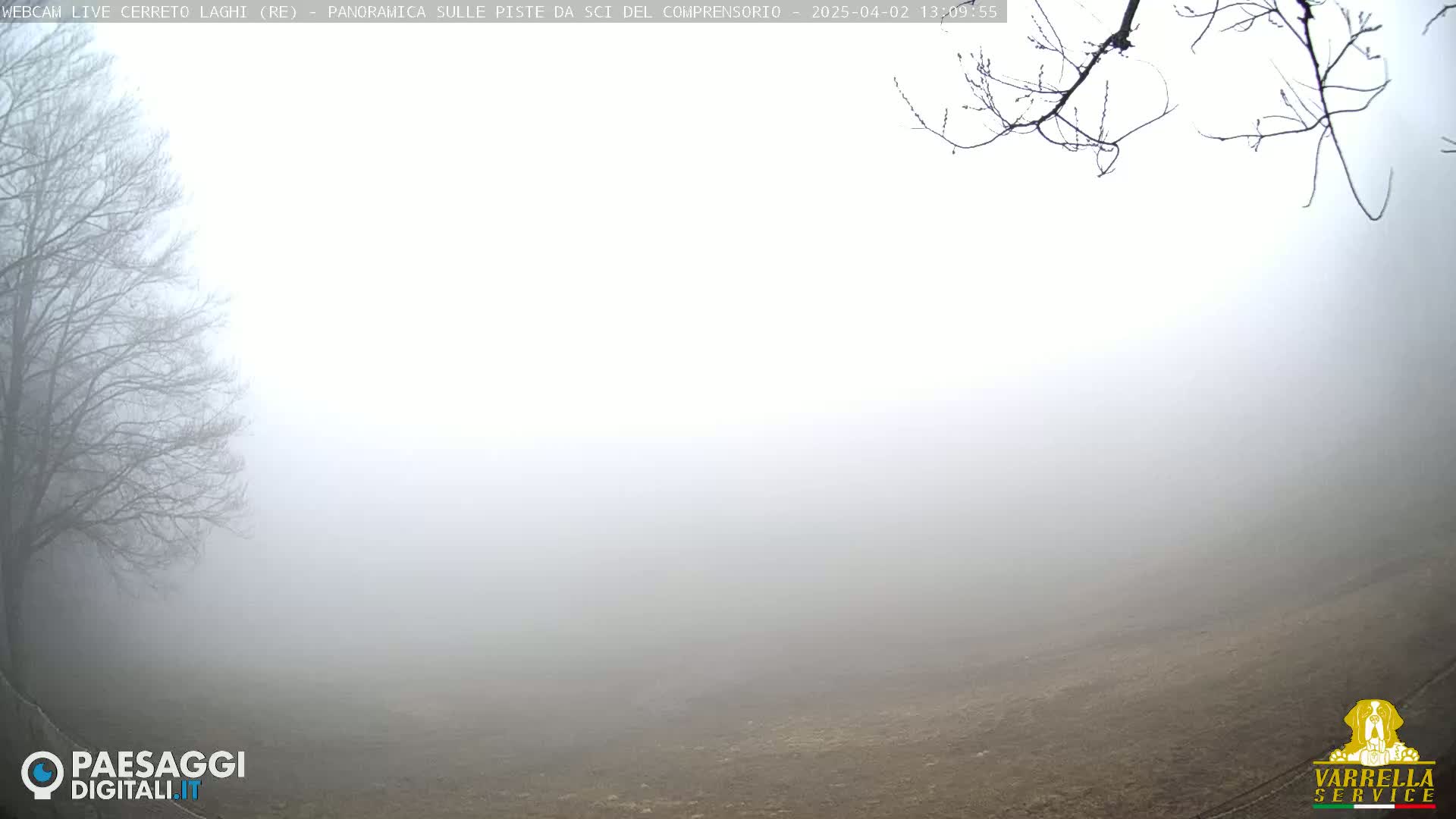 A dense fog obscures a barren, brown landscape with leafless branches visible in the foreground.