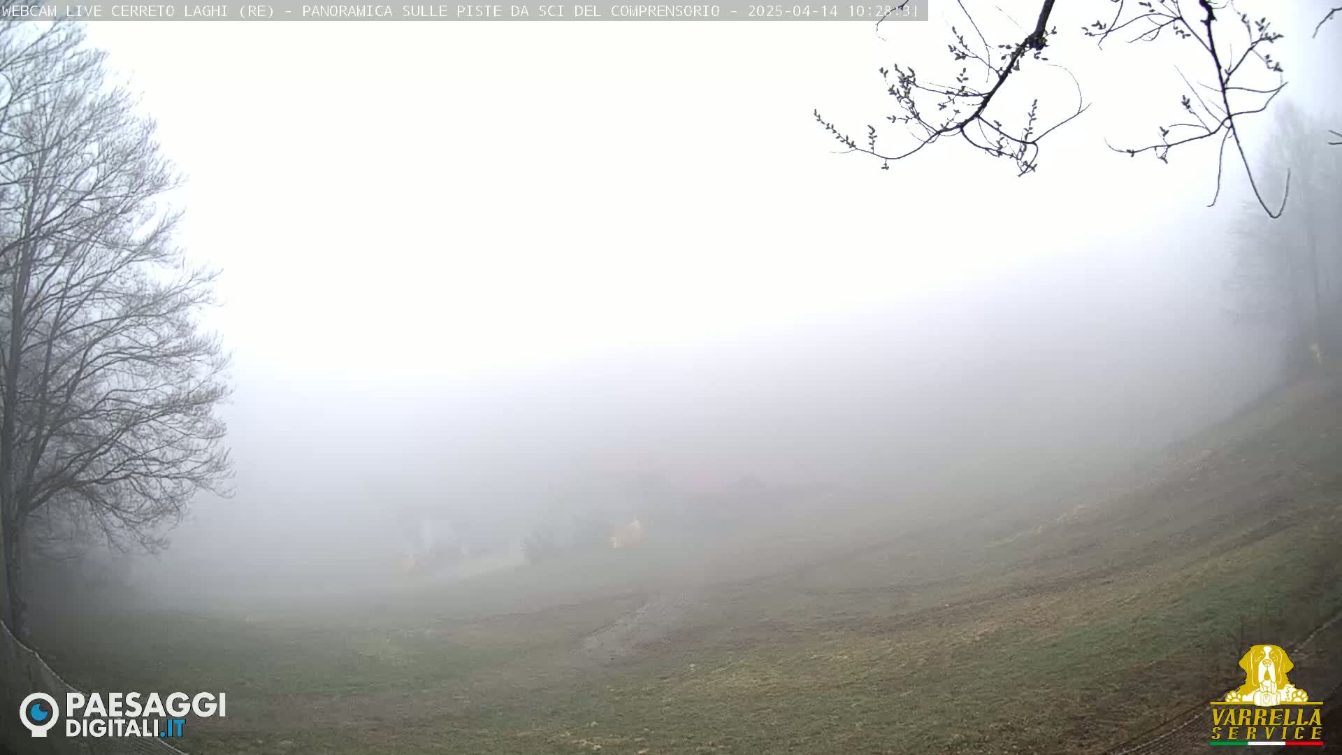A foggy landscape shows a gently sloping field with bare trees in the foreground under an overcast sky.