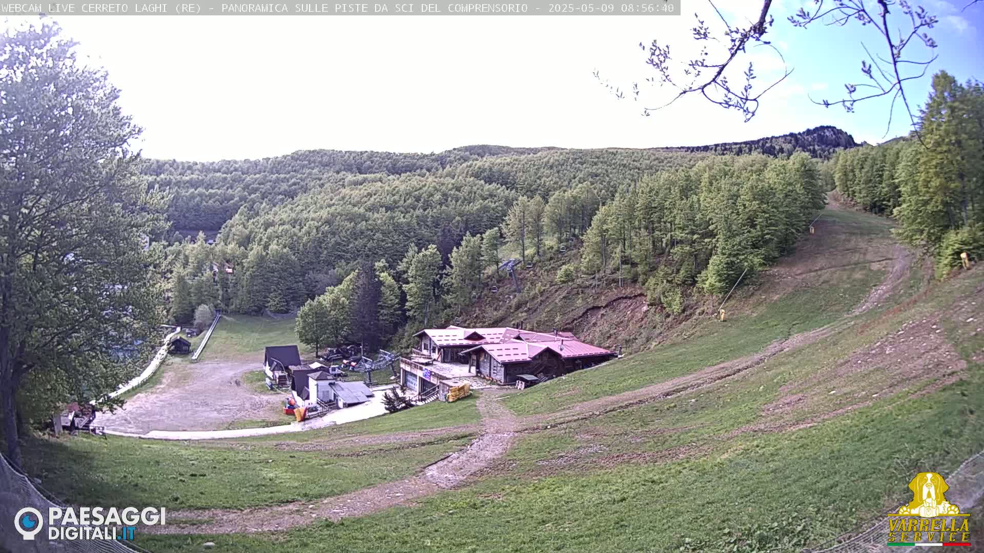 A ski resort in a forest under a mostly clear sky shows a grassy ski slope leading down to a cluster of buildings.