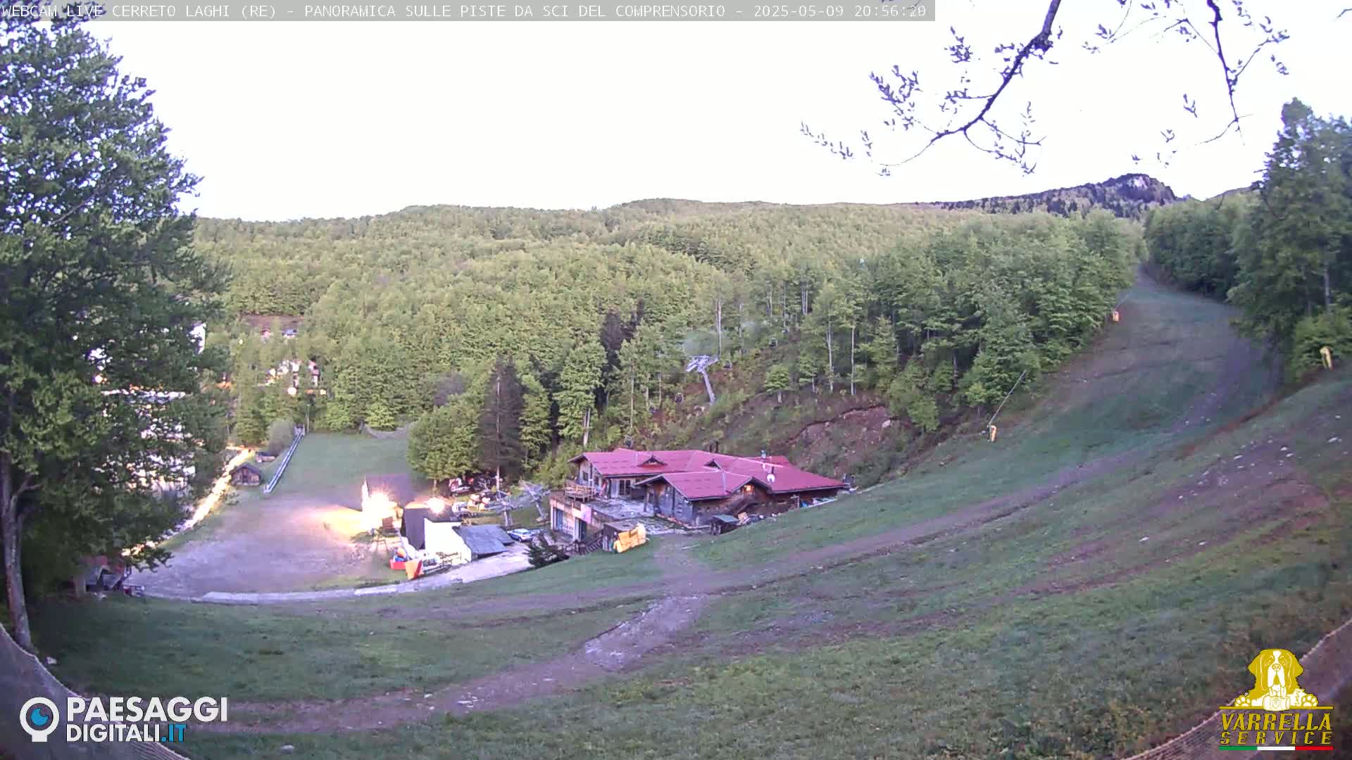A grassy ski slope with a building at its base, surrounded by a lush green forest under a mostly clear twilight sky.