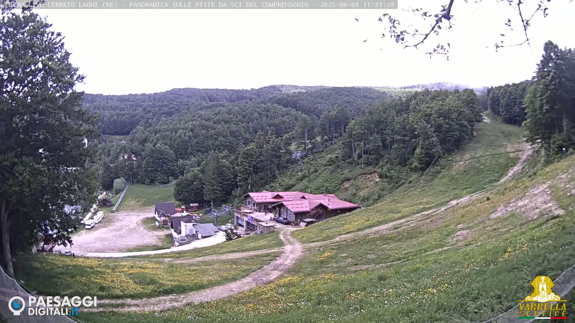 A mostly clear view of a ski resort in the summer, showing a grassy hillside with a building and a parking lot, surrounded by a dense forest.