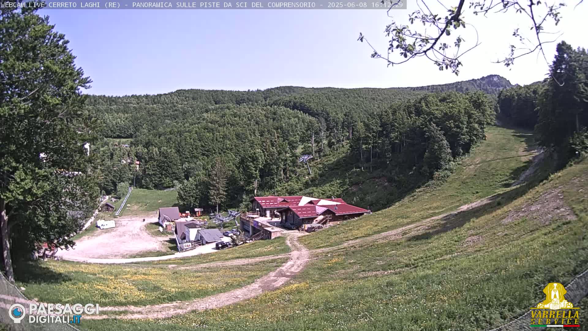 A sunny view of a grassy ski slope with a building and sparse vegetation, surrounded by a lush green forest.