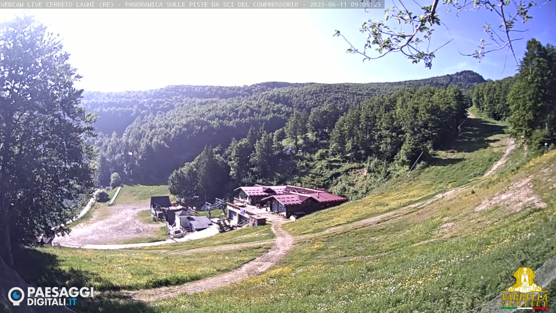 A sunny day overlooks a grassy hillside with a ski lodge and mountain in the distance.