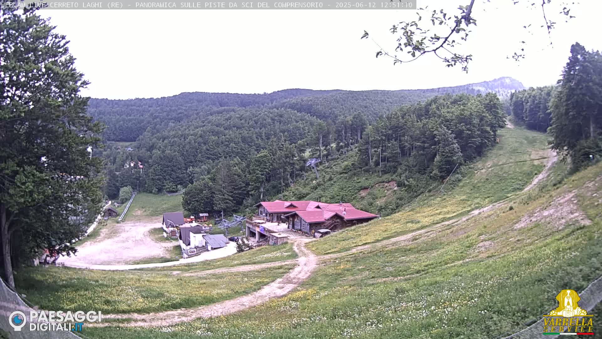 A mostly sunny view of a ski resort in the summer, showing grassy slopes, a lodge, and a forest-covered mountain in the background.
