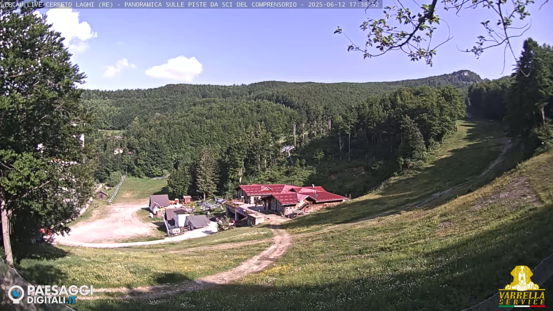 A sunny view of a ski resort in the summer, showing a grassy hill with a building at its base and a forested mountain in the background.