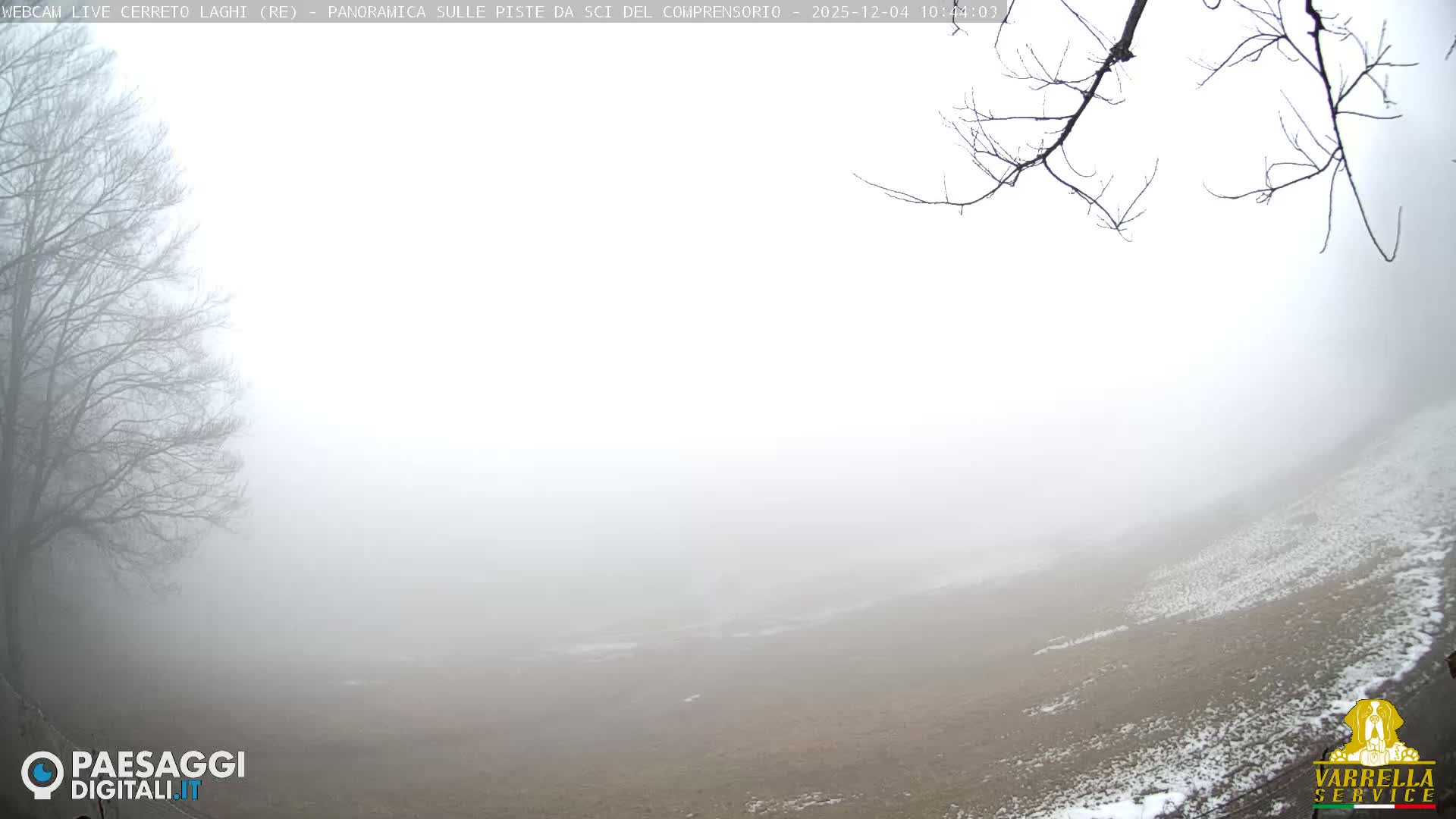 A thick fog envelops an outdoor winter landscape, revealing bare trees on the left, sparse branches overhead, and a ground partially covered with snow patches and exposed earth.