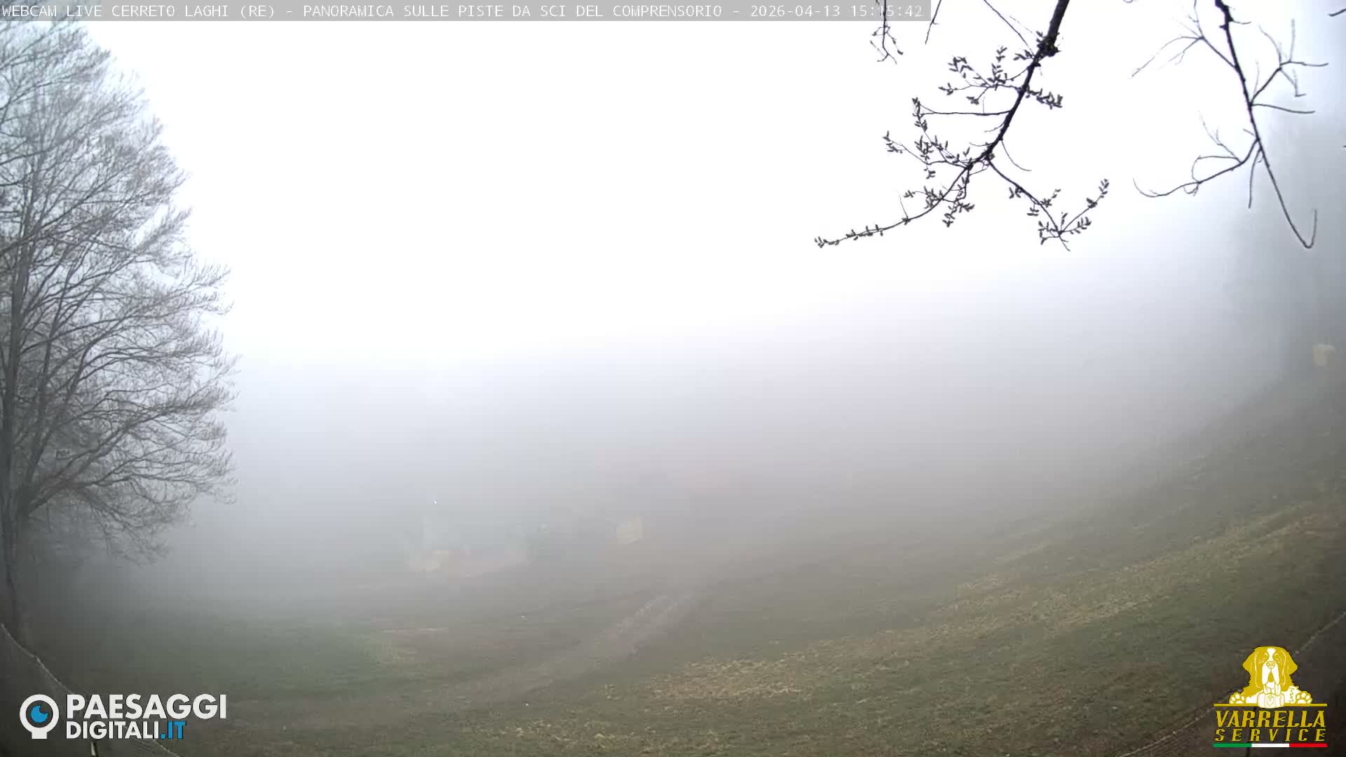 A thick fog envelops an outdoor winter landscape, revealing bare trees on the left, sparse branches overhead, and a ground partially covered with snow patches and exposed earth.