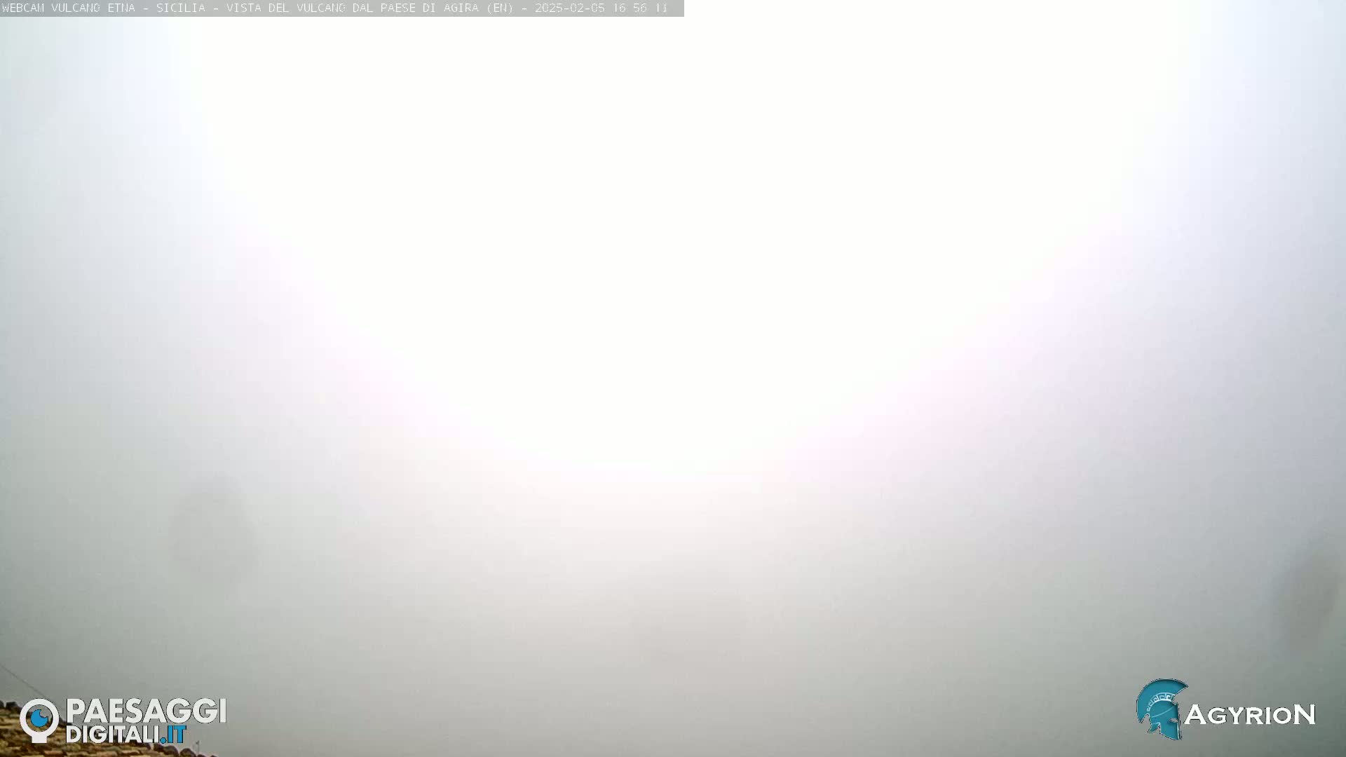 A thick fog obscures the view of an outdoor scene.