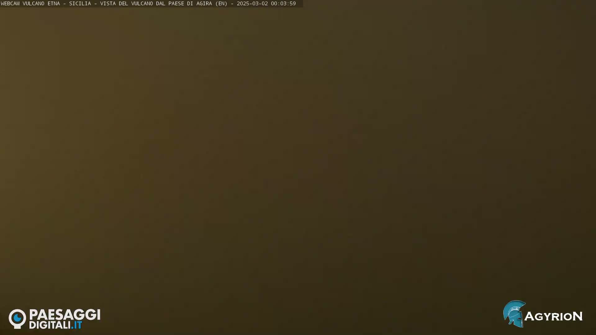 A uniformly dark olive-brown screen displays a solid color with no visible features.