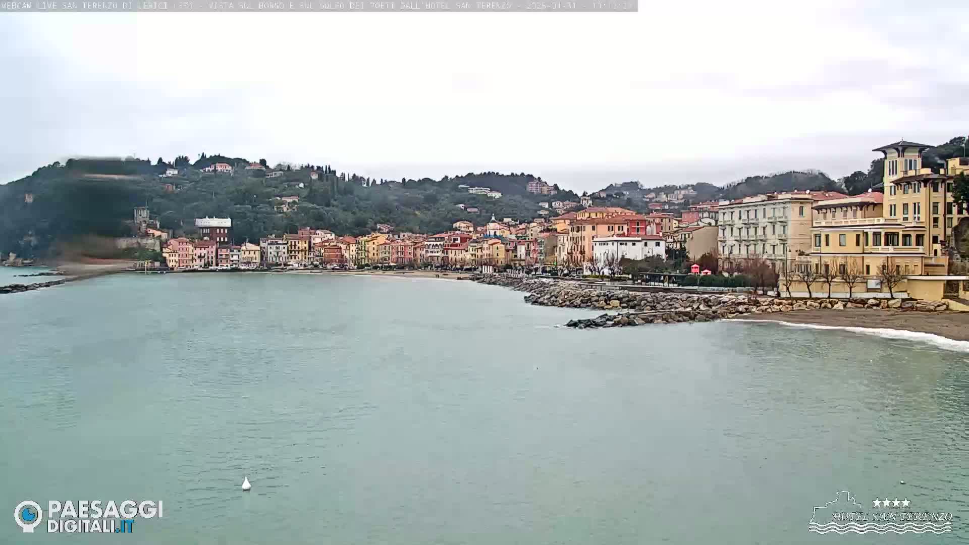 A coastal town nestled against a verdant hillside, under an overcast sky, is partially visible from a seaside vantage point.