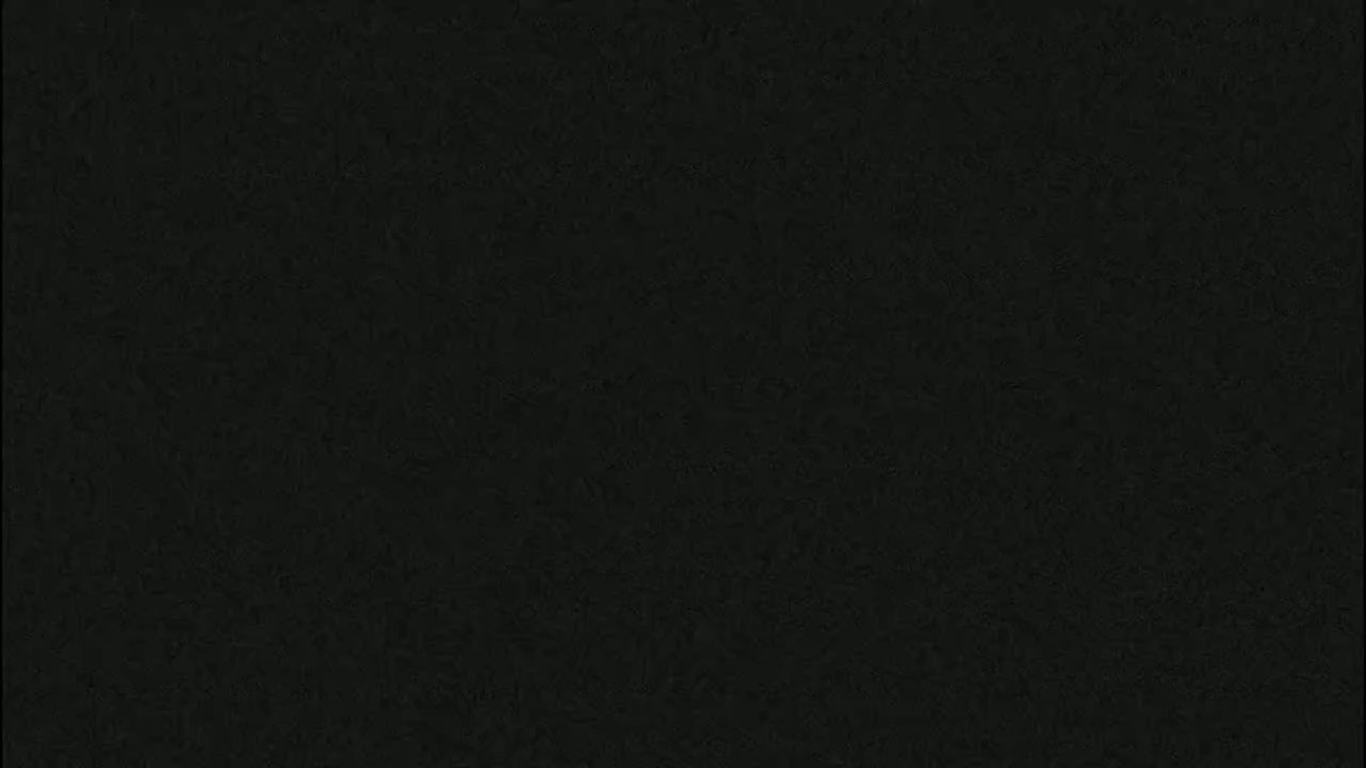 The image is a uniformly dark, textured surface.