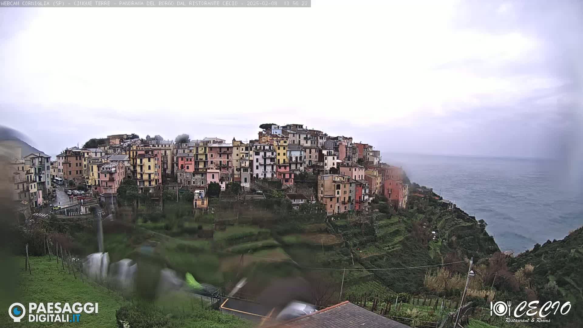 A rain-swept coastal village of colorful houses clings to a hillside overlooking a gray sea.