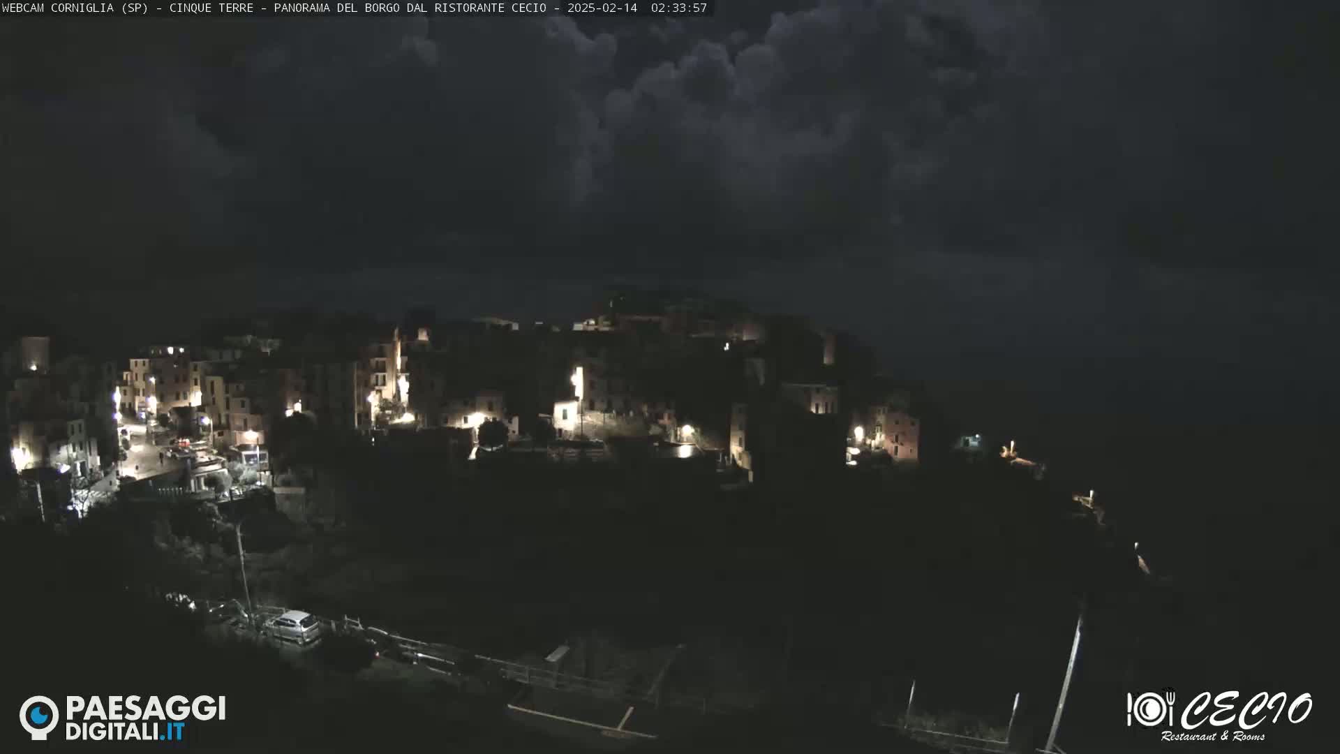 A nighttime view of a small, illuminated town situated on a hill overlooking a dark body of water under a cloudy sky.