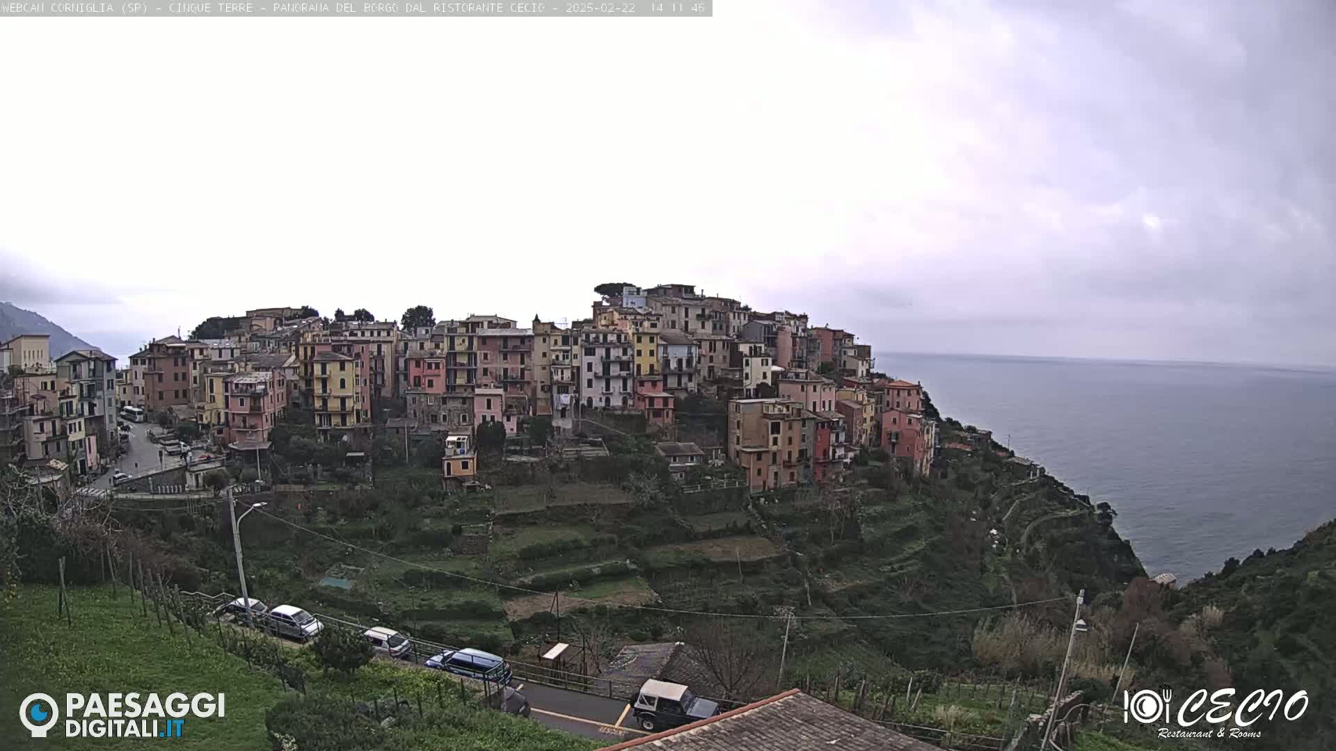 A colorful village clings to a steep hillside overlooking a calm, overcast ocean.
