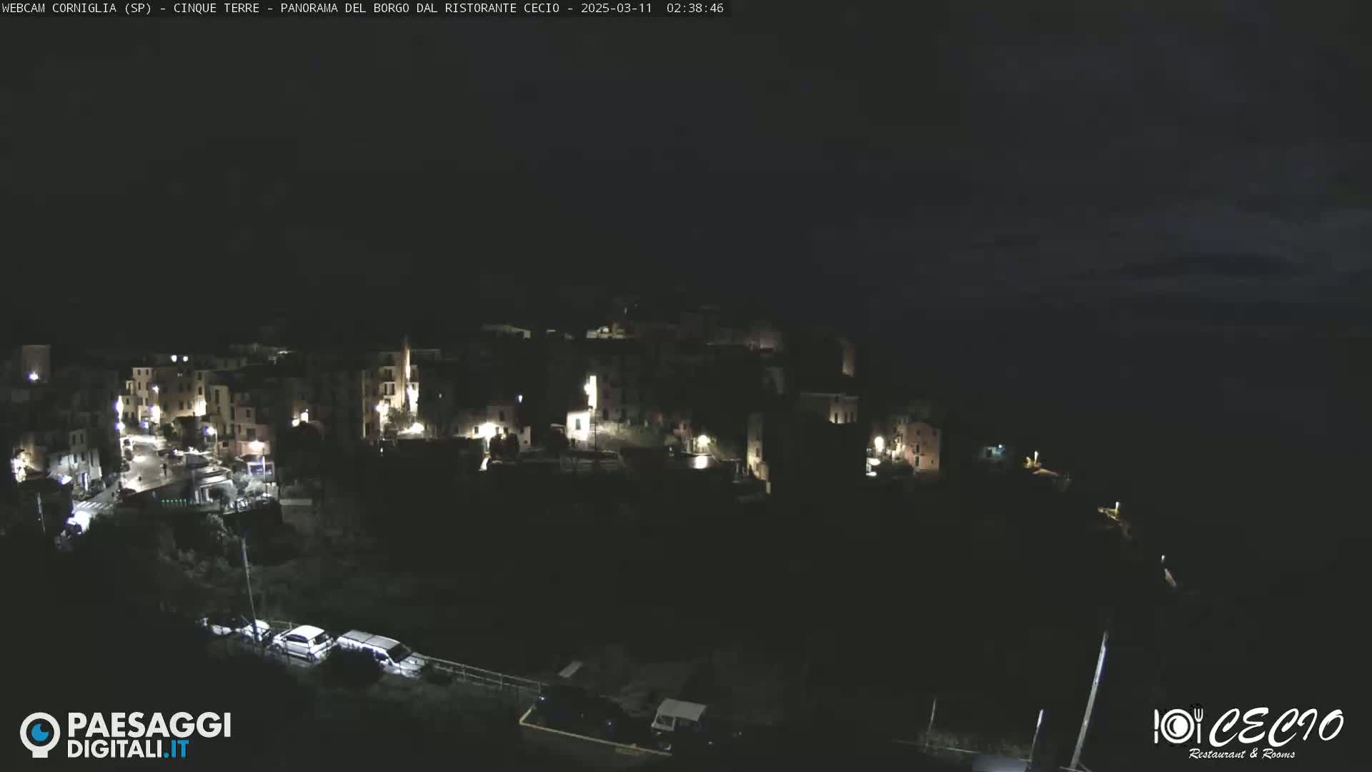 A nighttime, high-angle view of a small, dark town illuminated by scattered lights, situated near a dark body of water under a mostly clear, dark sky.
