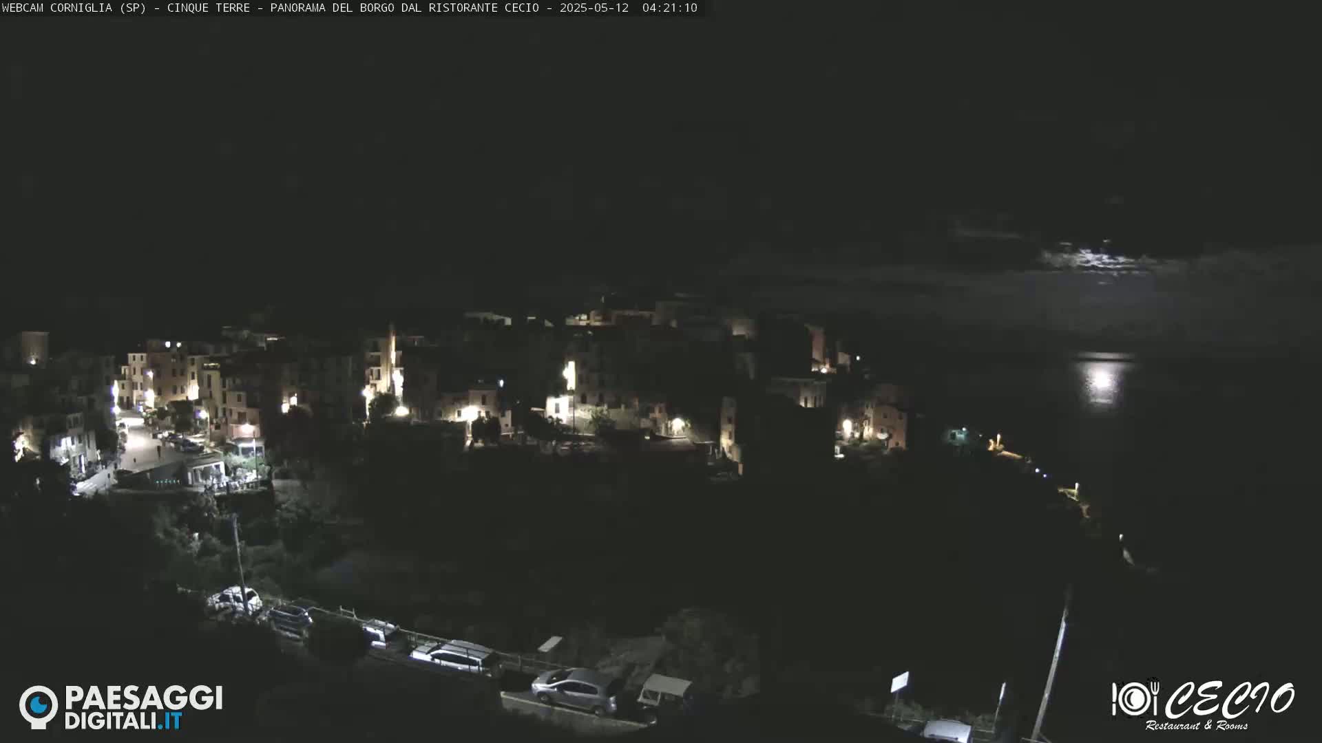 A nighttime, moonlit view of a small, illuminated coastal town situated on a hillside overlooking the sea.