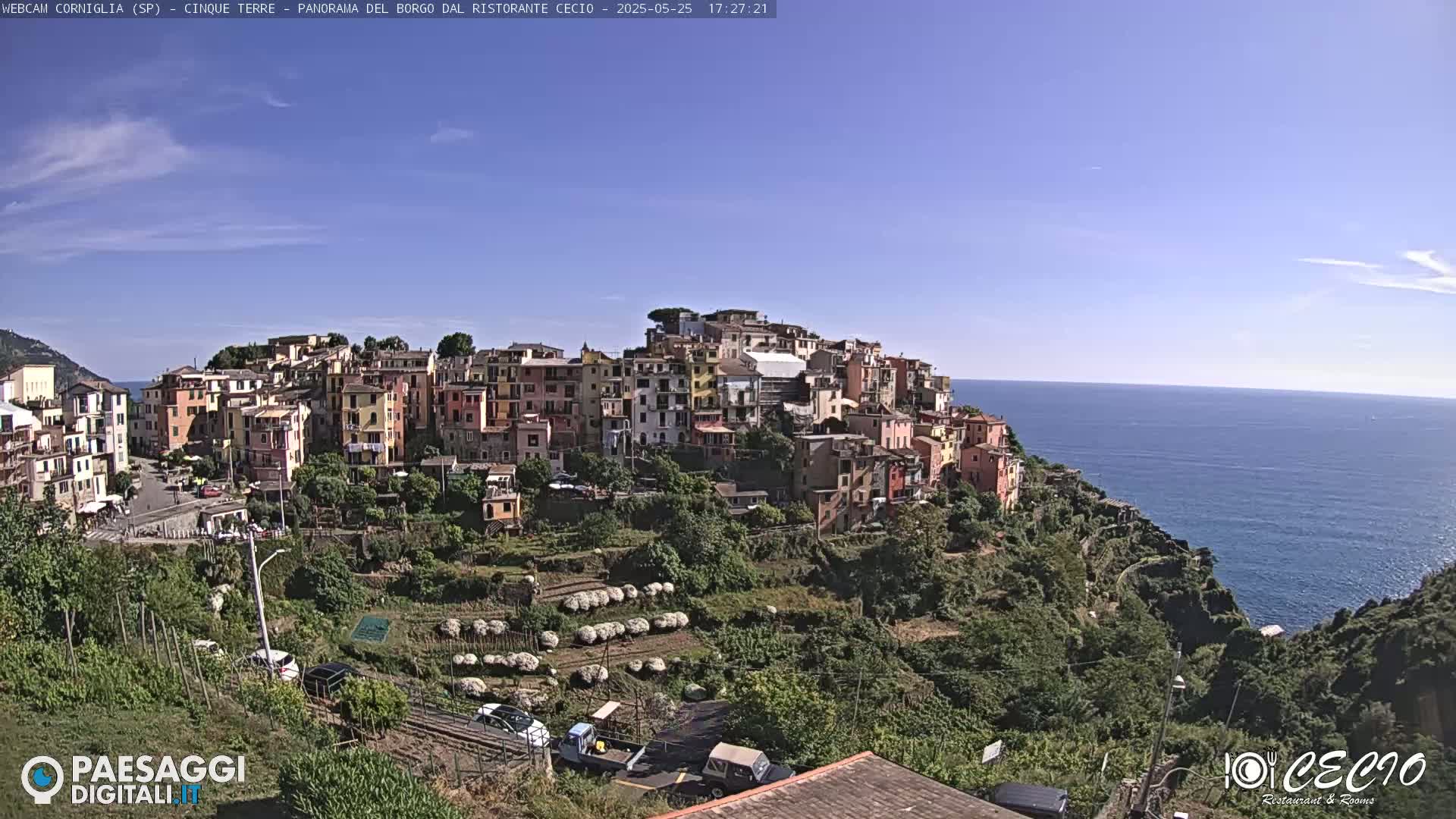 A picturesque coastal town, nestled on a hillside overlooking a calm ocean under a clear blue sky, is shown.
