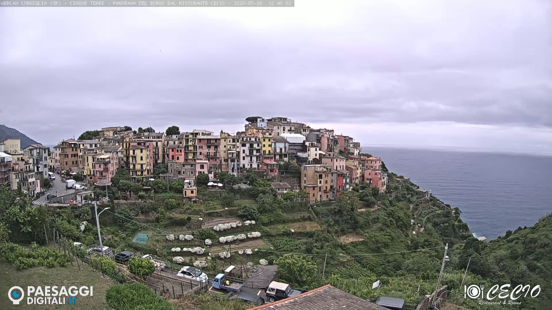 A colorful hillside village overlooks a calm sea under an overcast sky.