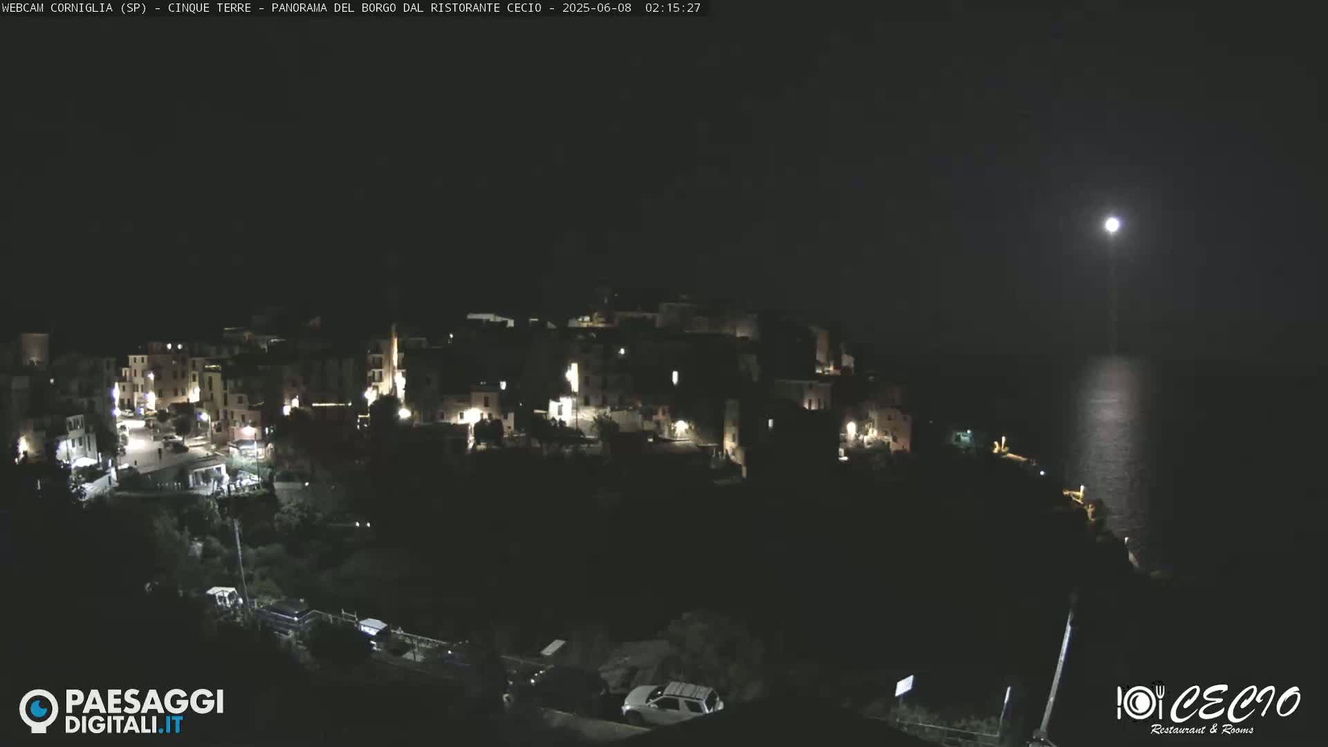 A nighttime, moonlit view of a coastal town with its lights illuminated, overlooking dark water.