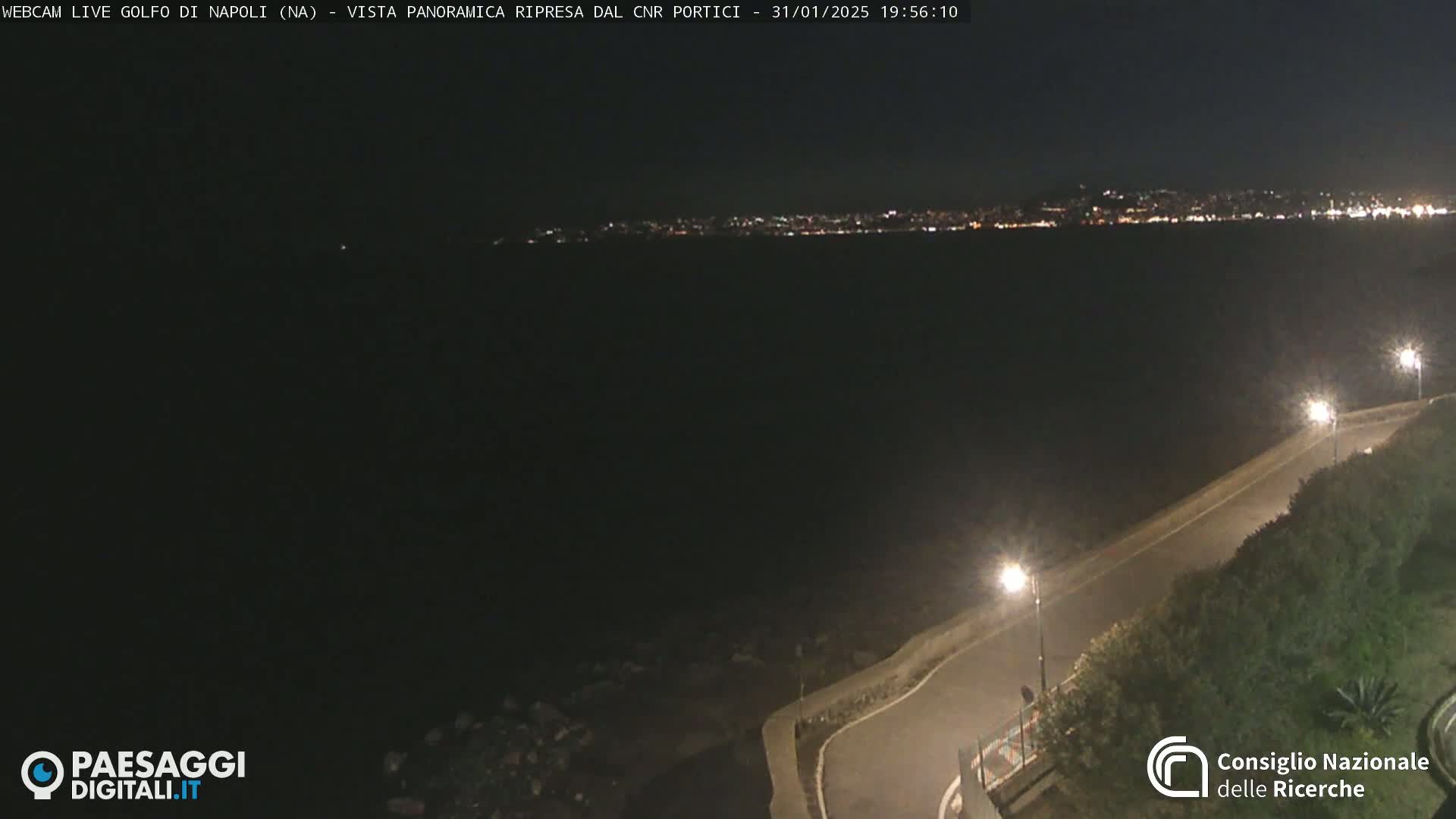 A nighttime, coastal view shows a dark body of water with a distant city skyline illuminated, and a curving road with streetlights along a shoreline in the foreground.