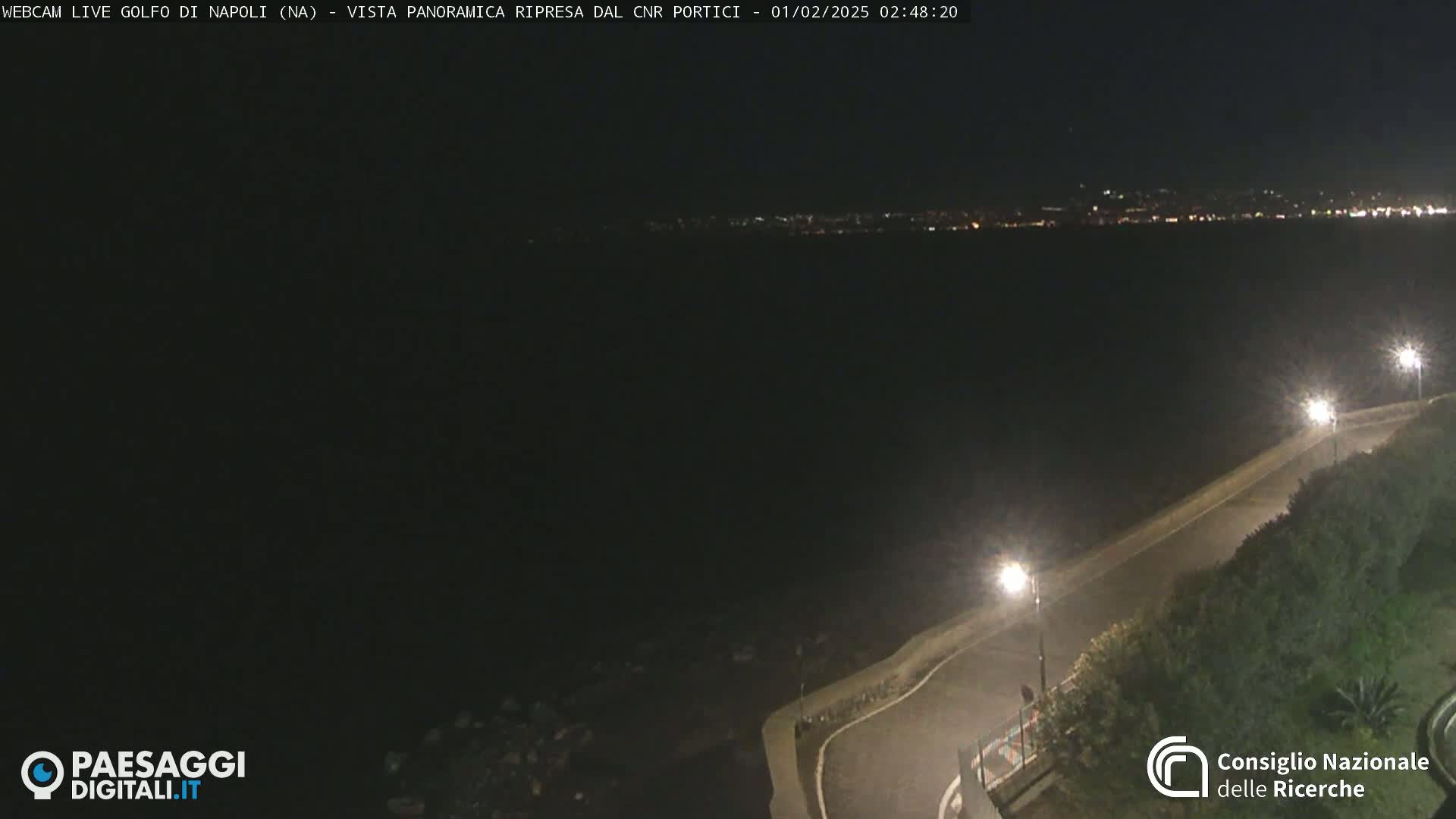 A nighttime, panoramic view of a dark body of water with a dimly lit road and vegetation along the shoreline, and a distant city skyline faintly visible in the background.