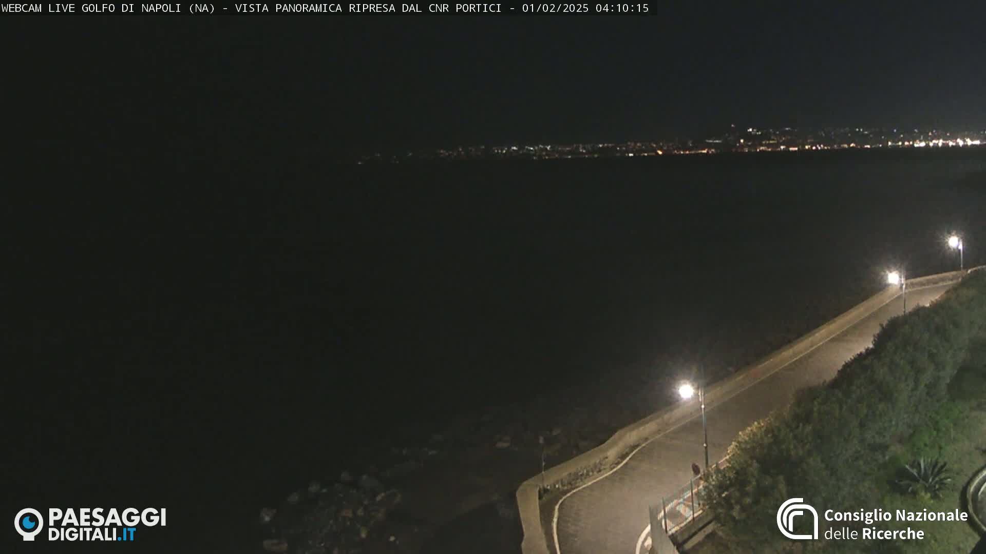 A nighttime, panoramic view of a dark body of water with a city skyline faintly visible in the distance, and a paved road curving along a shoreline with vegetation and streetlights.