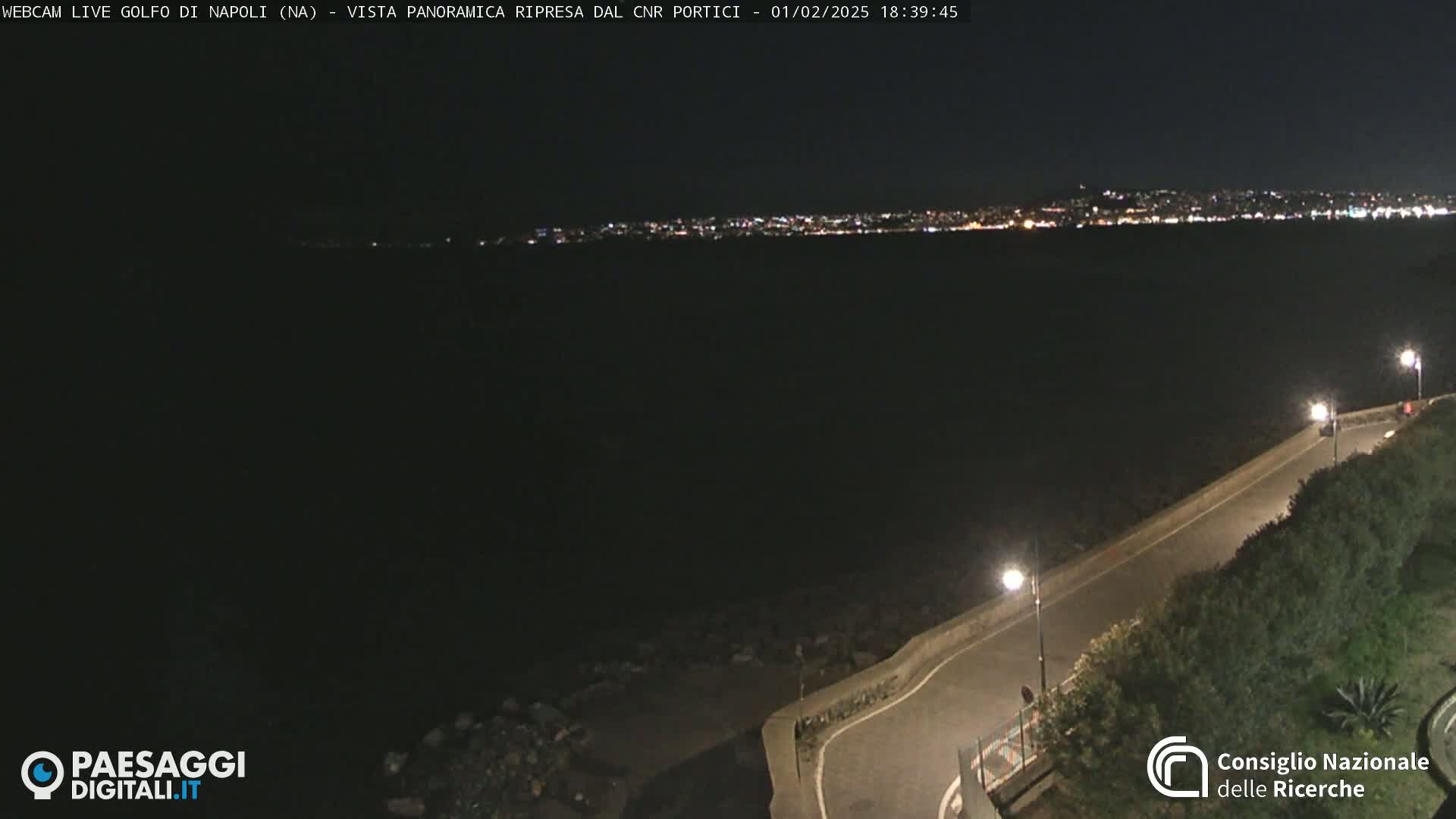 A nighttime, seaside view shows a dark body of water with a distant city skyline illuminated, and a curving road along a shoreline with vegetation and streetlights.