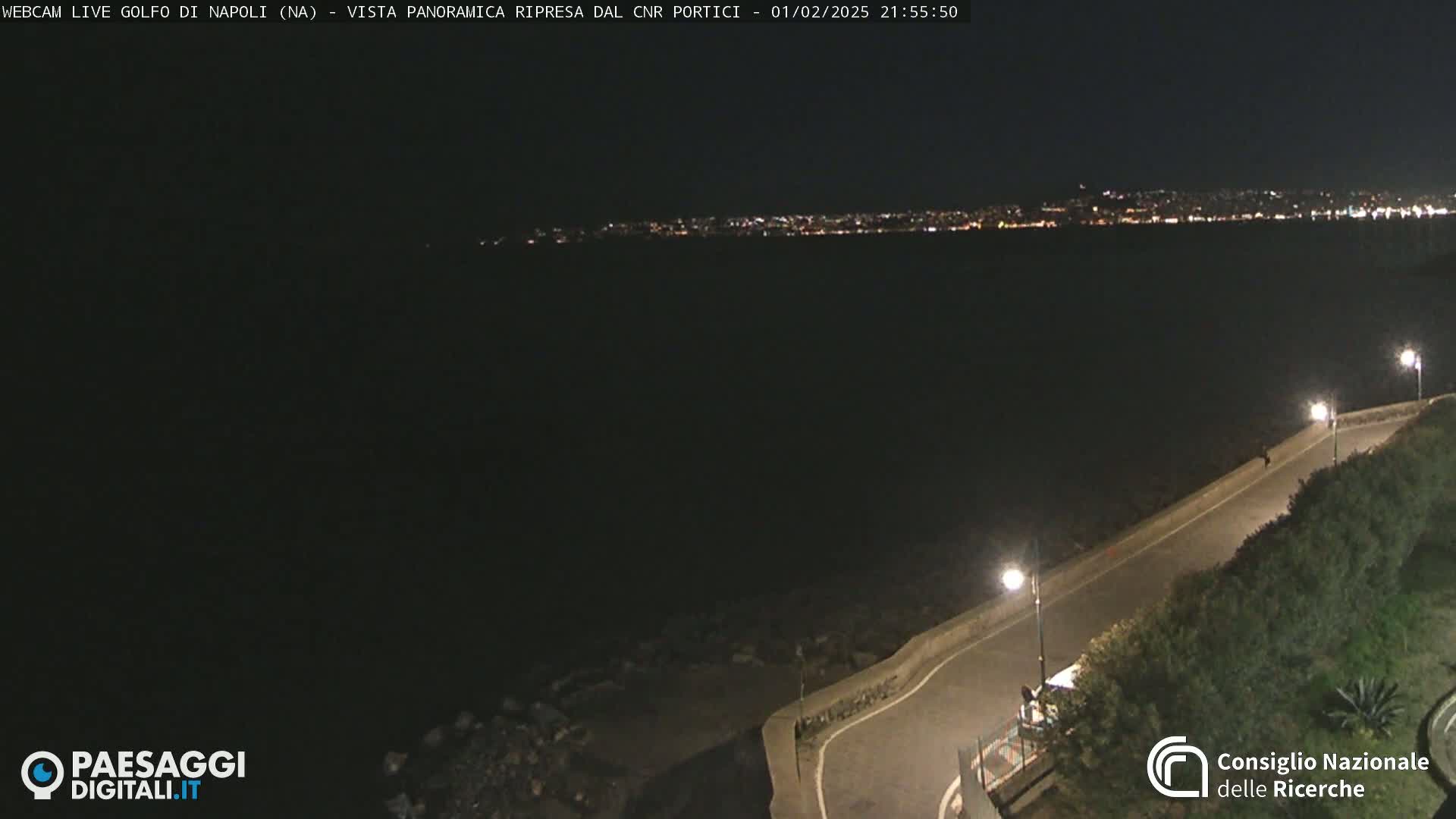 A nighttime, panoramic view of a city's lights across a dark body of water, with a paved road and vegetation visible in the foreground.