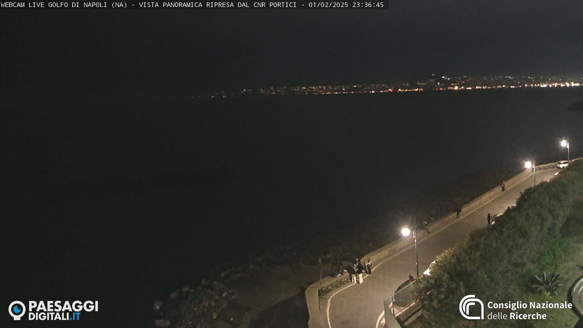 A nighttime, panoramic view shows a dark body of water with a distant, illuminated city skyline and a paved roadway along a shoreline with a few people and some vegetation.