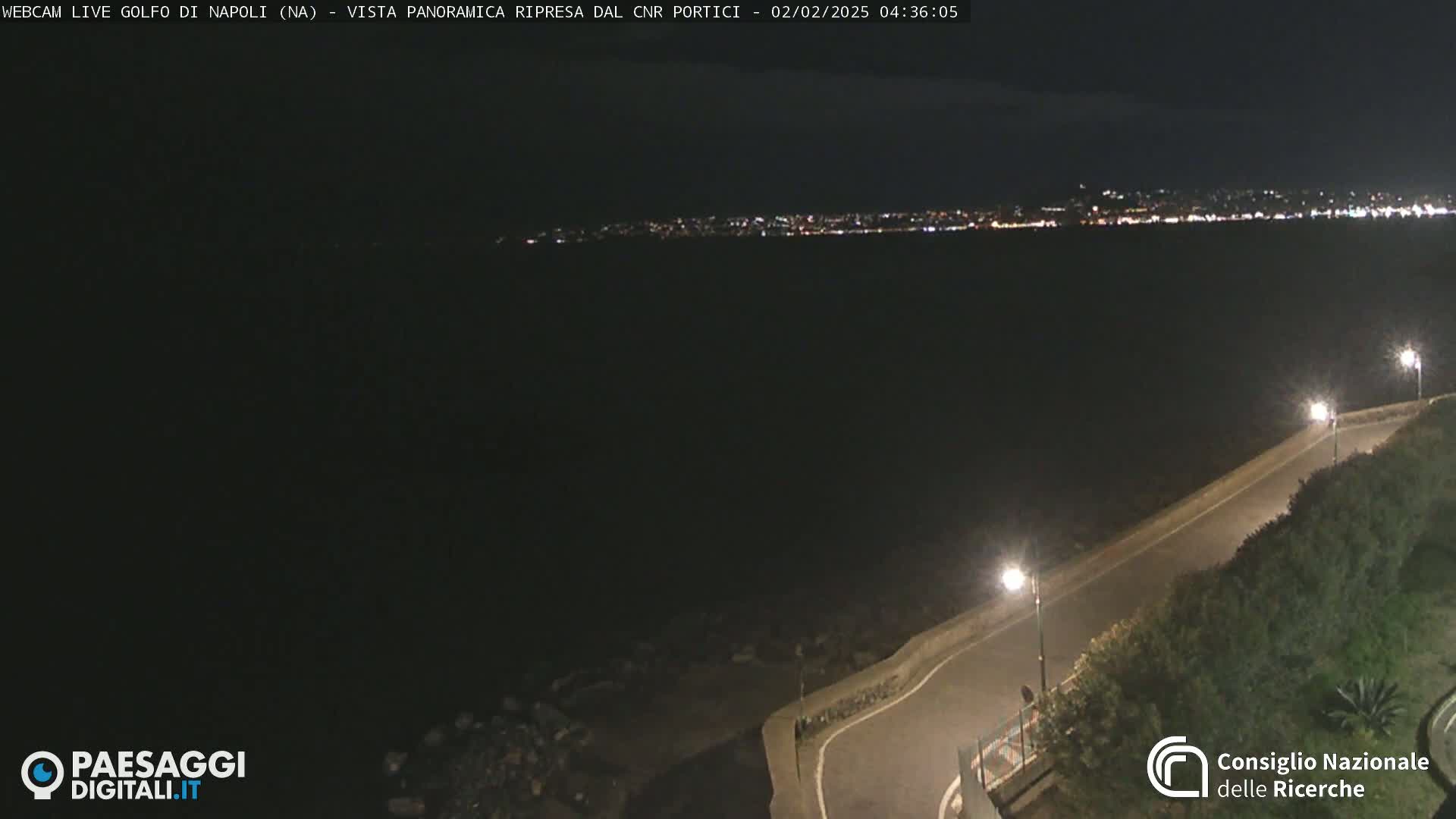 A nighttime, coastal scene shows a dark body of water with a distant city skyline illuminated by lights, a curving road with streetlights beside dark vegetation leading to the water's edge.