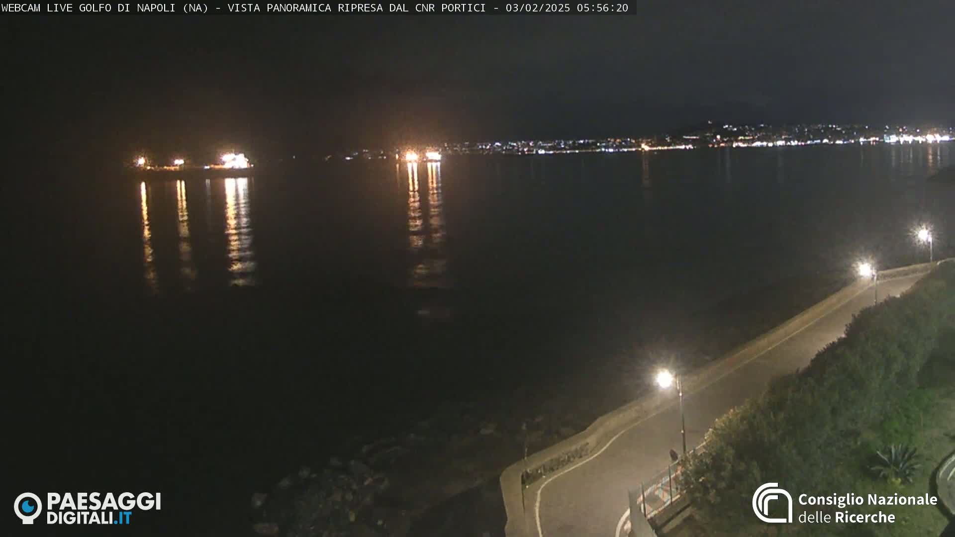 A nighttime view of a dark body of water reflecting city lights across the horizon, with a paved road and vegetation visible along the shoreline.